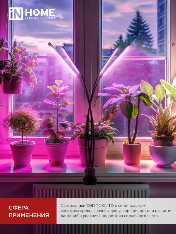 картинка Светильник настольный на прищепке светодиодный СНП-Т2-ФИТО 4П40 красно-синий 40Вт 4 плафона, пульт на шнуре IN HOME