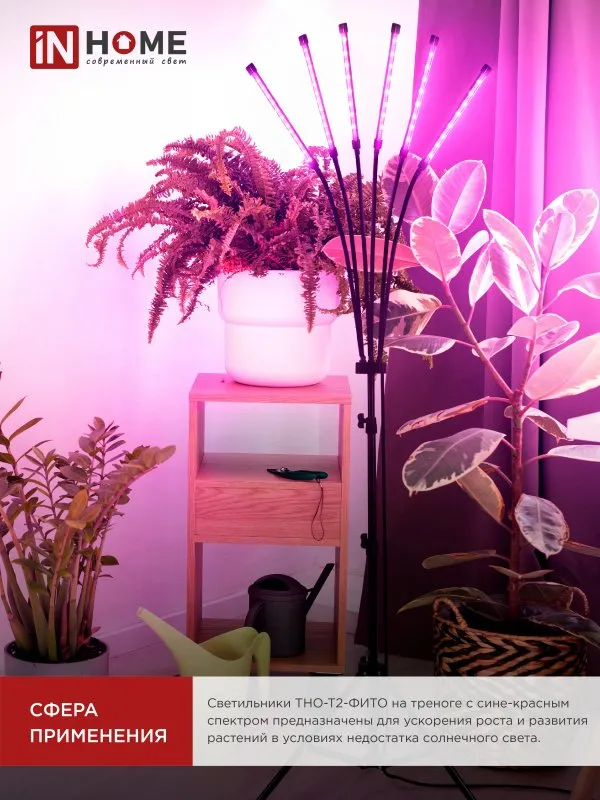 картинка Светильник напольный на треноге светодиодный ТНО-Т2-ФИТО красно-синий 6Т60 60Вт 6 плафонов, пульт на шнуре IN HOME