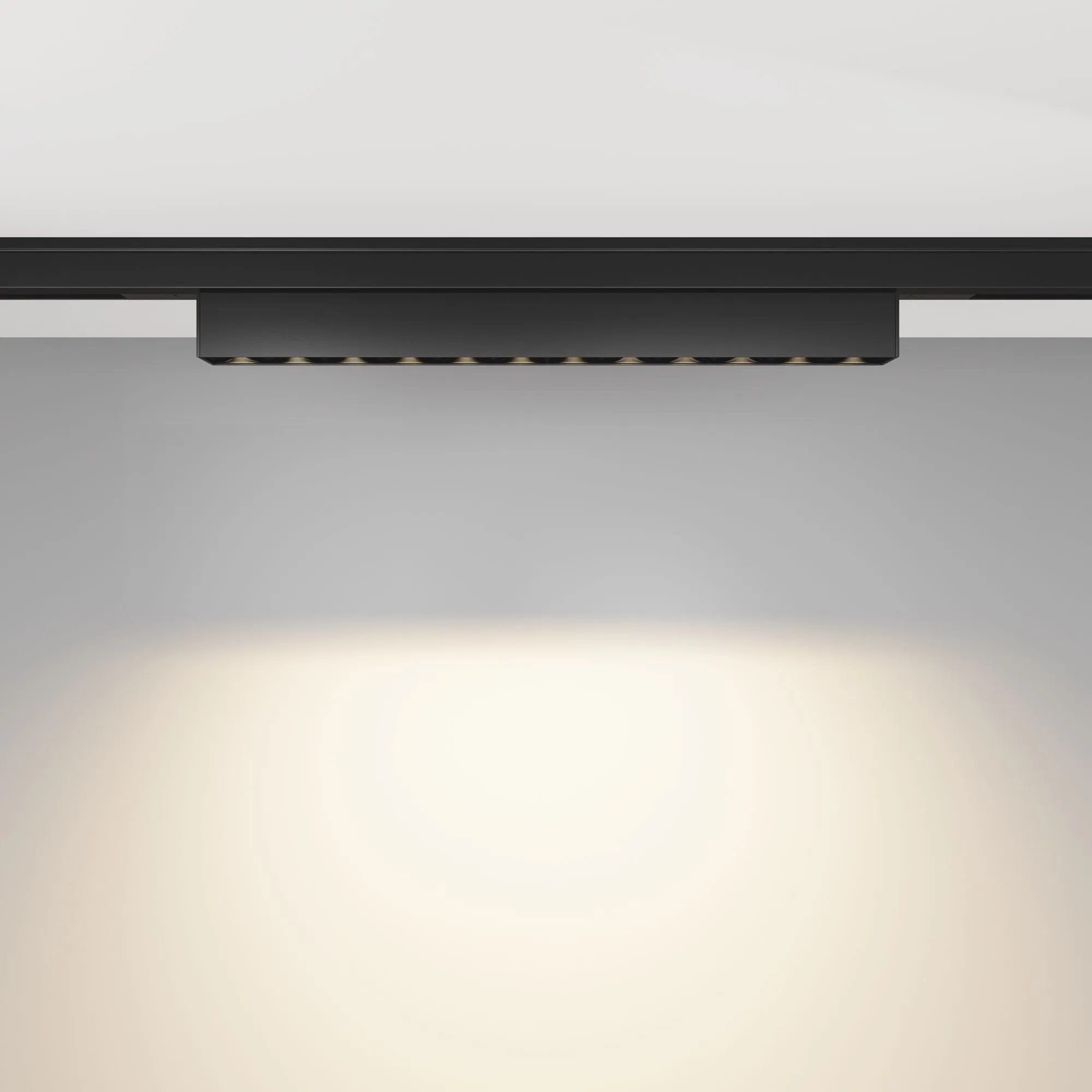 картинка Трековый светильник Technical TR193-1-10W3K-M-B