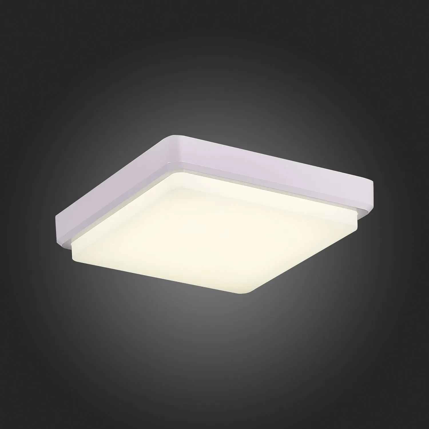 картинка SLE200212-01 Светильник потолочный Белый/Белый LED 1*20W 4000K