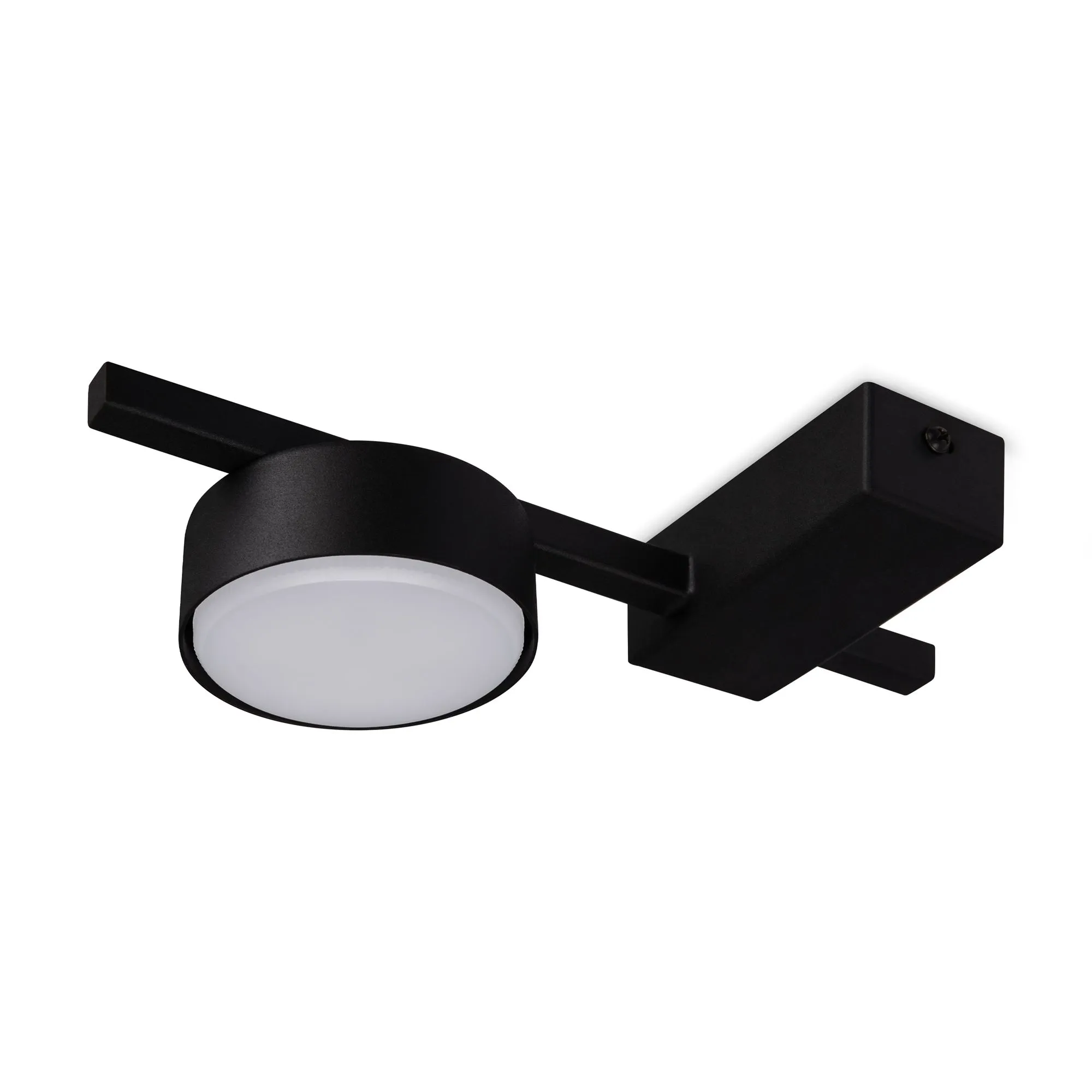 картинка Потолочный светильник Freya FR5363CL-01B