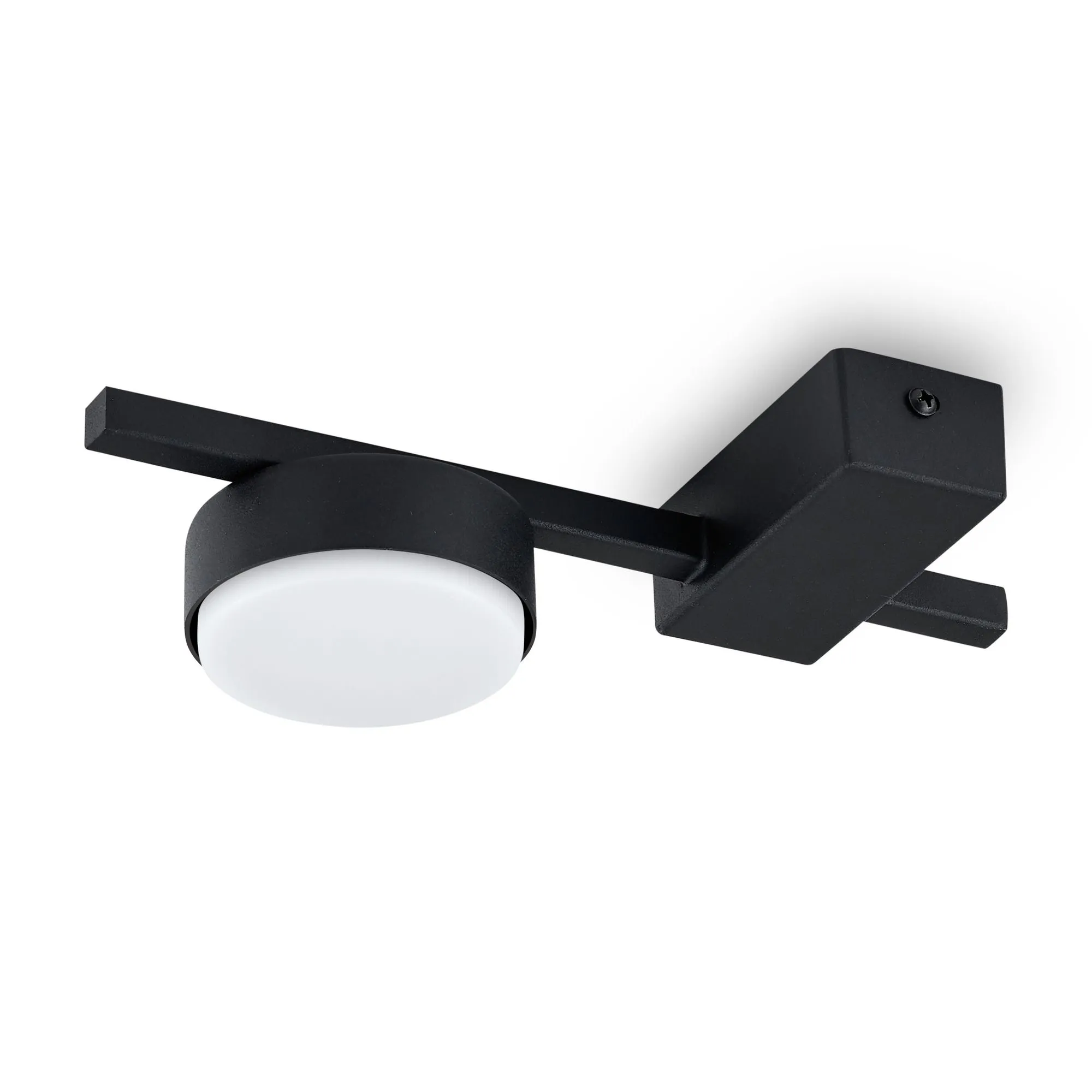 картинка Потолочный светильник Freya FR5363CL-01B