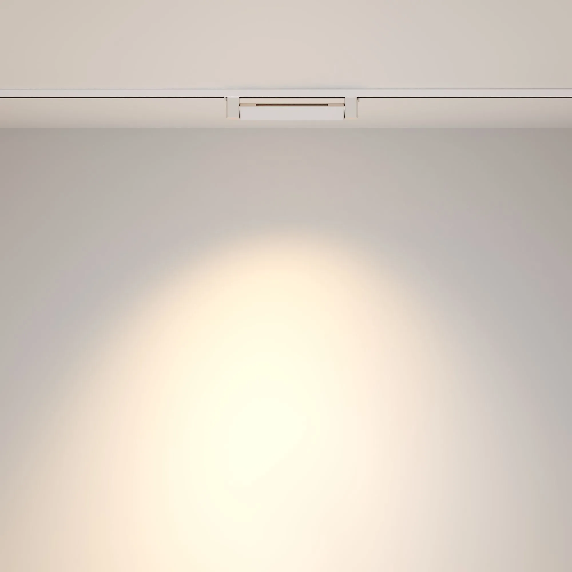 картинка Трековый светильник Technical TR010-1-10W4K-M-W