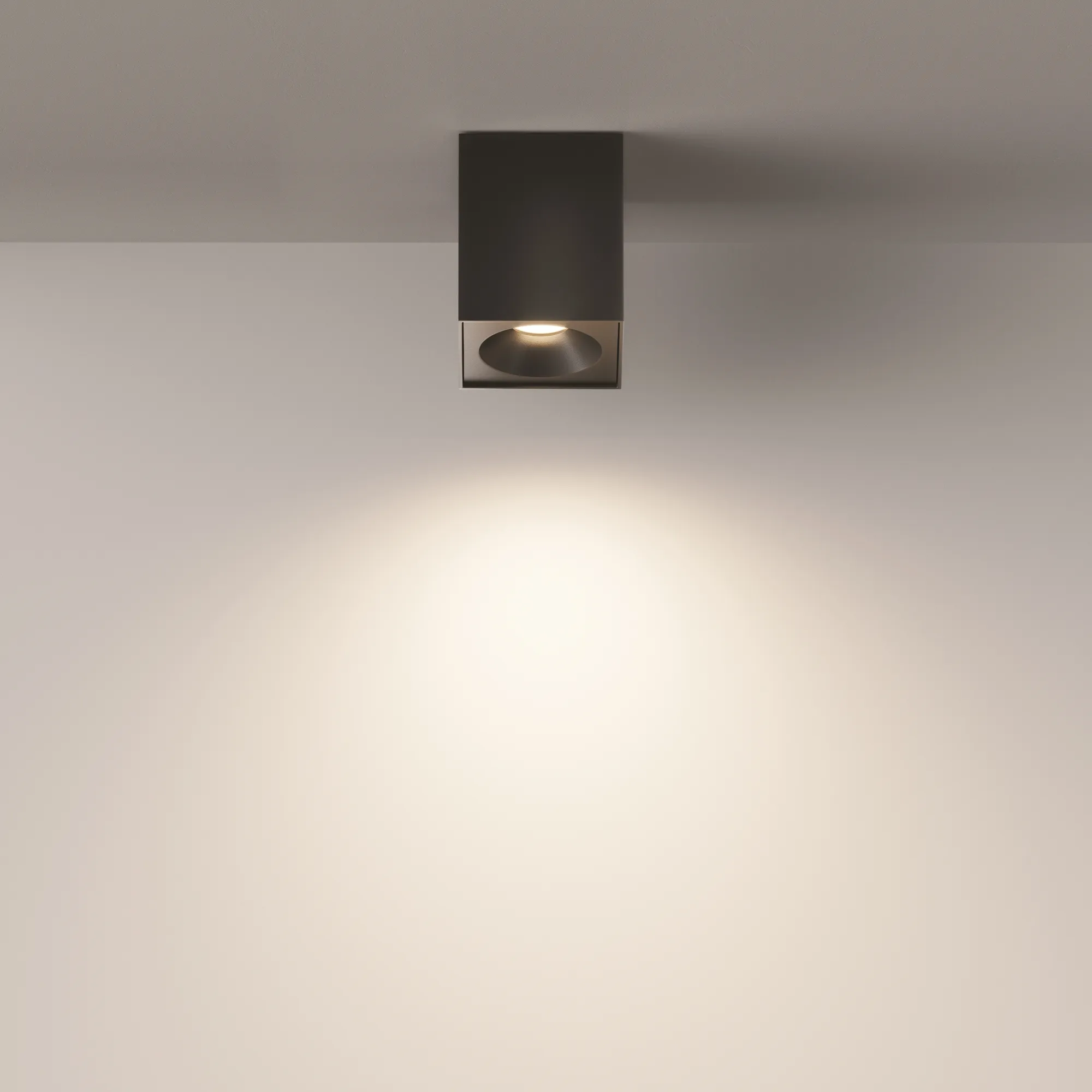картинка Потолочный светильник Technical C030CL-01B