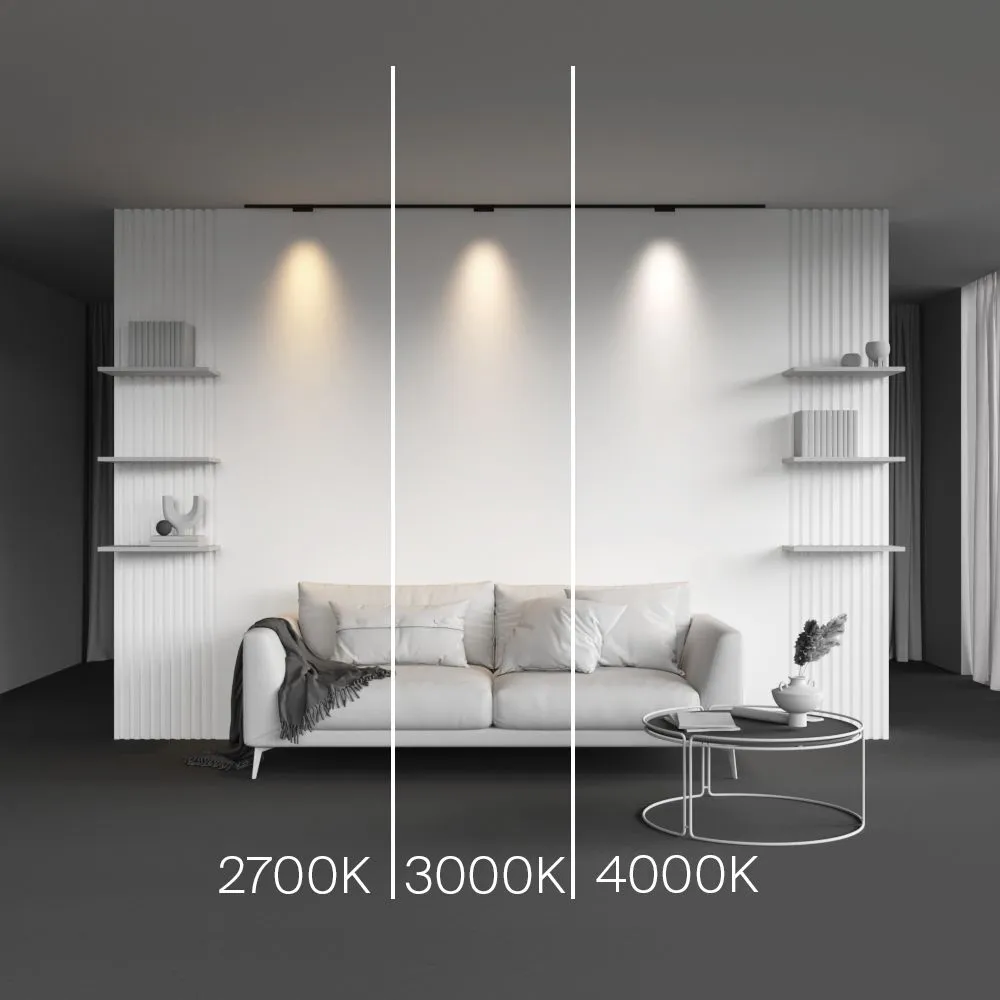 картинка Трековый светильник Technical TR193-1-5W2.7K-M-B