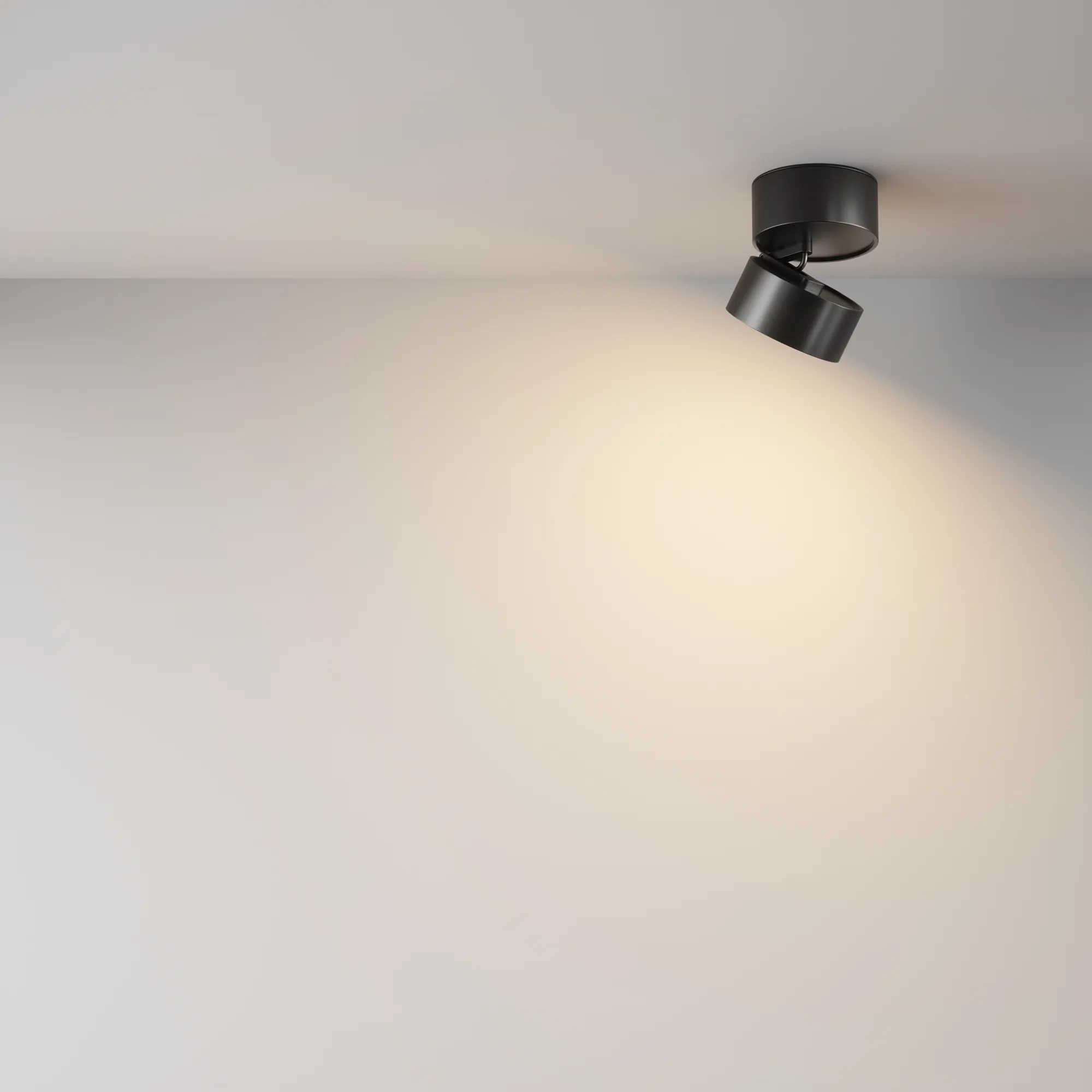 картинка Потолочный светильник Technical C024CL-12W3K-B-1