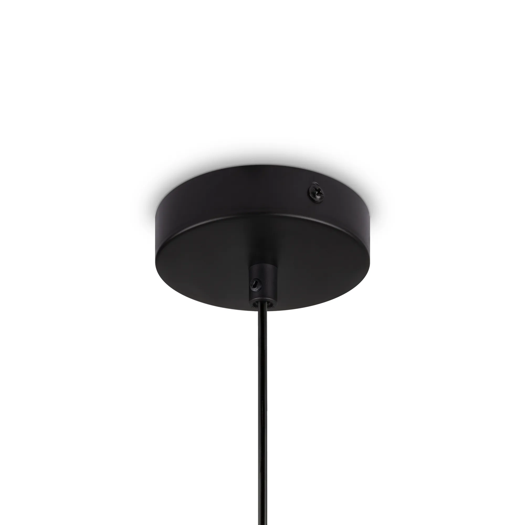 картинка Подвесной светильник Freya FR5390PL-01B