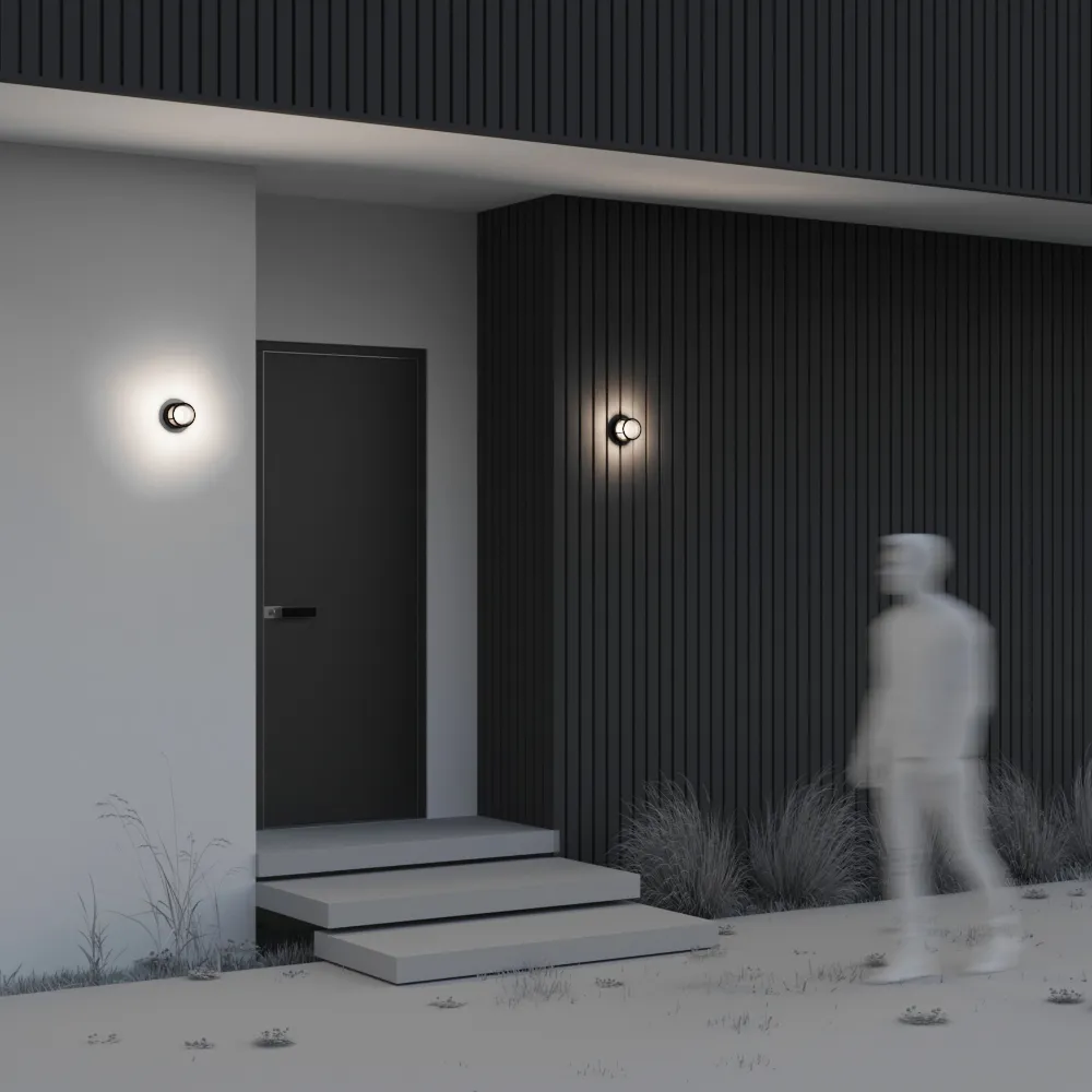 картинка Настенный светильник (бра) Outdoor O011WL-L6B