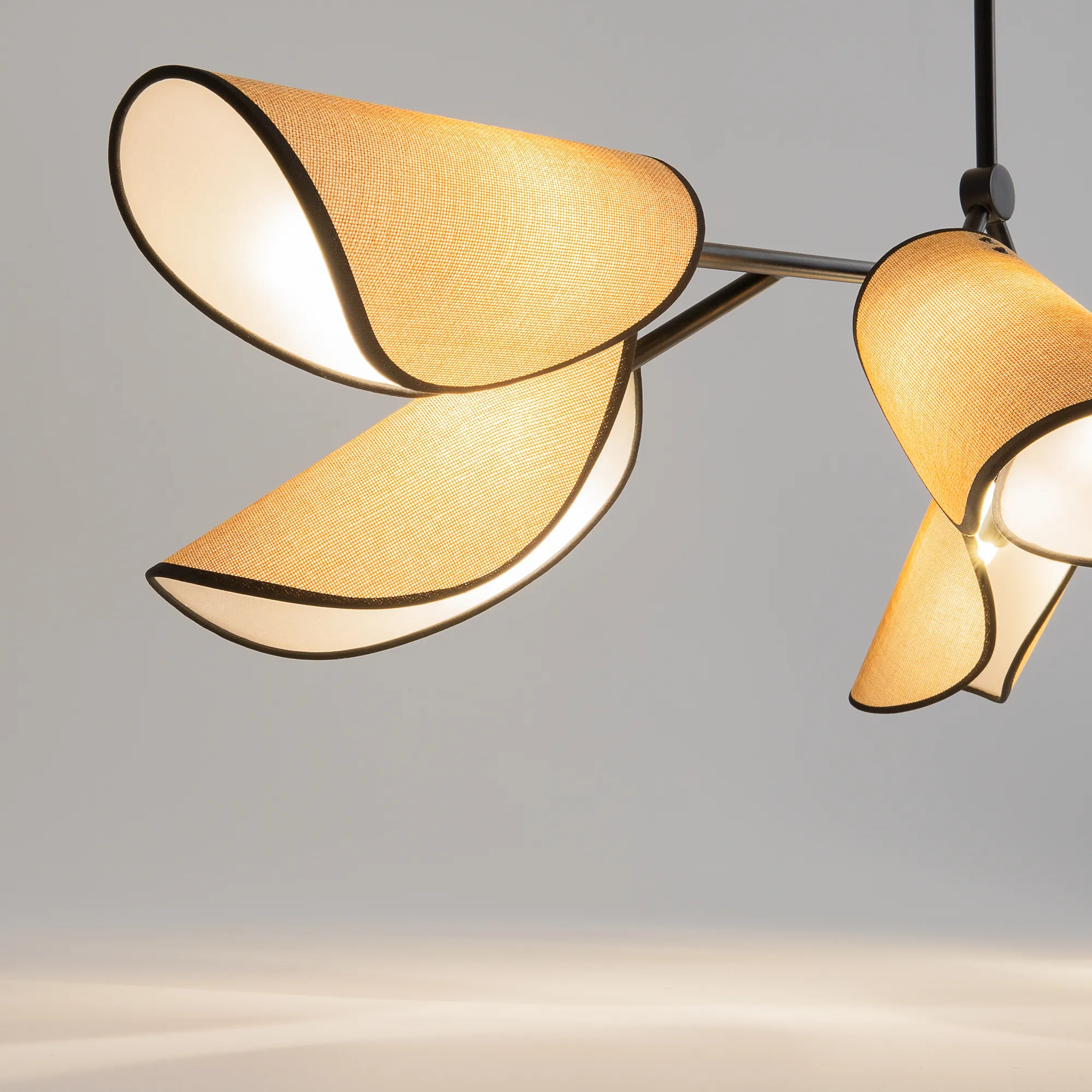 картинка Подвесной светильник Maytoni MOD225PL-06B