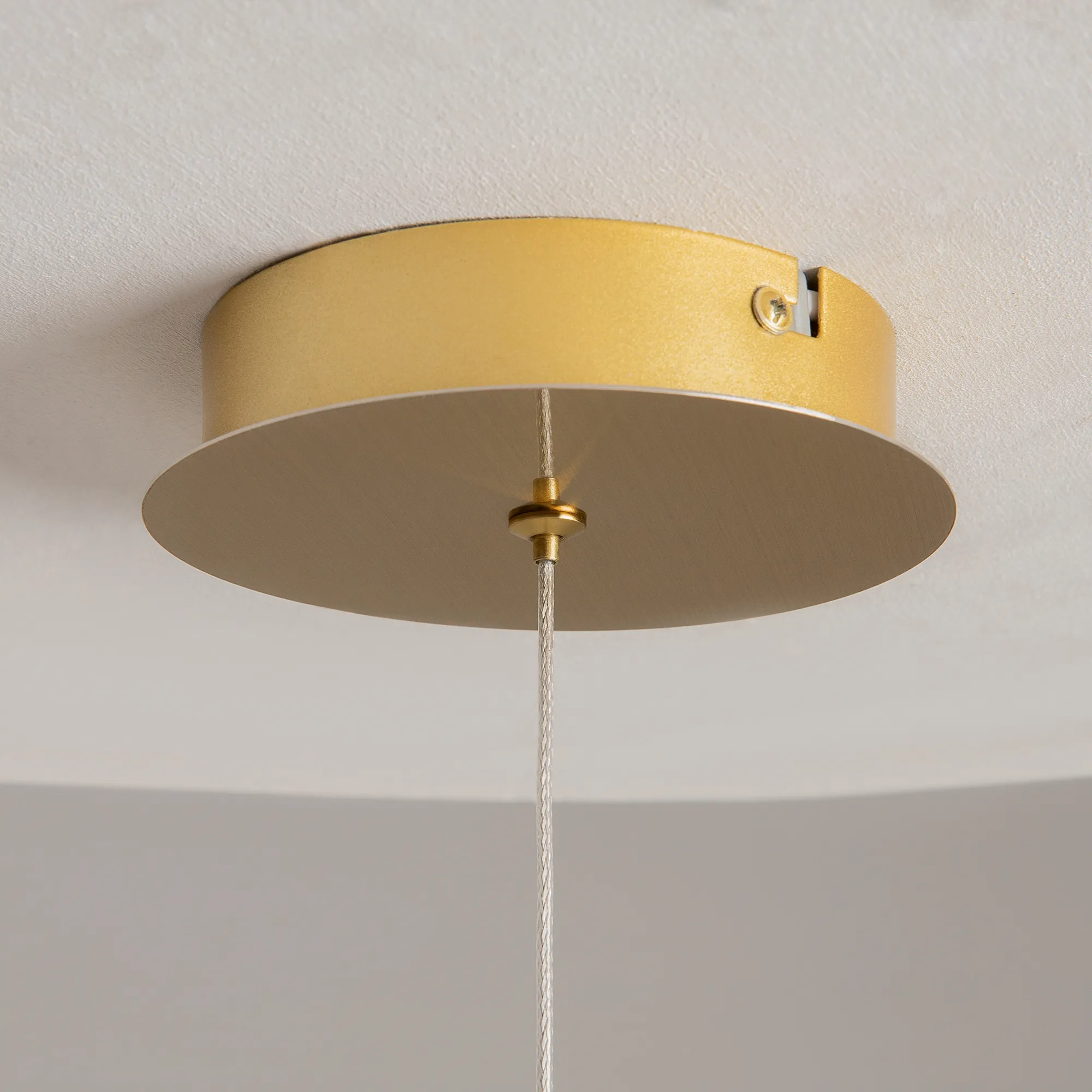 картинка Подвесной светильник Maytoni MOD347PL-L8BS3K