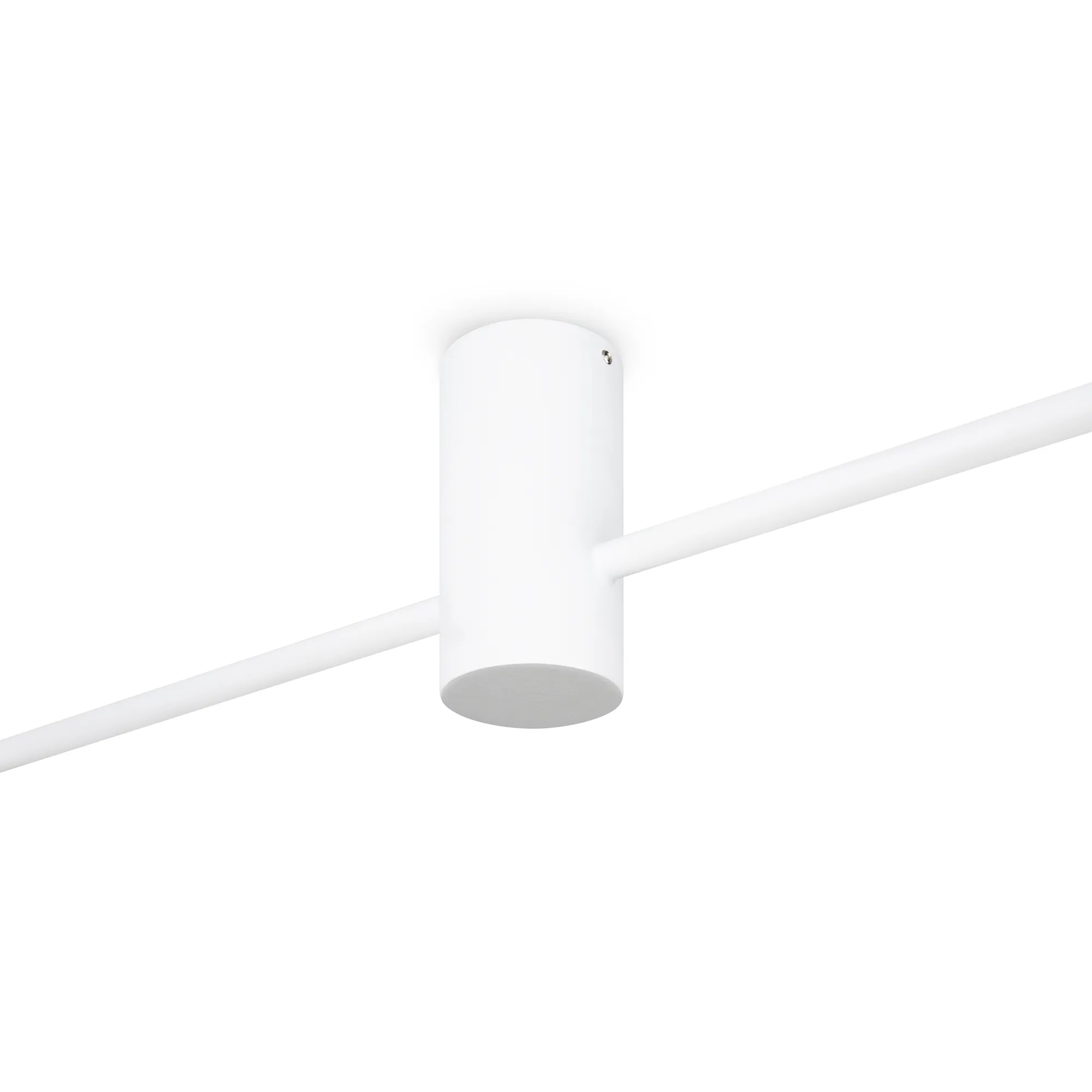 картинка Потолочный светильник Freya FR5363CL-02W1