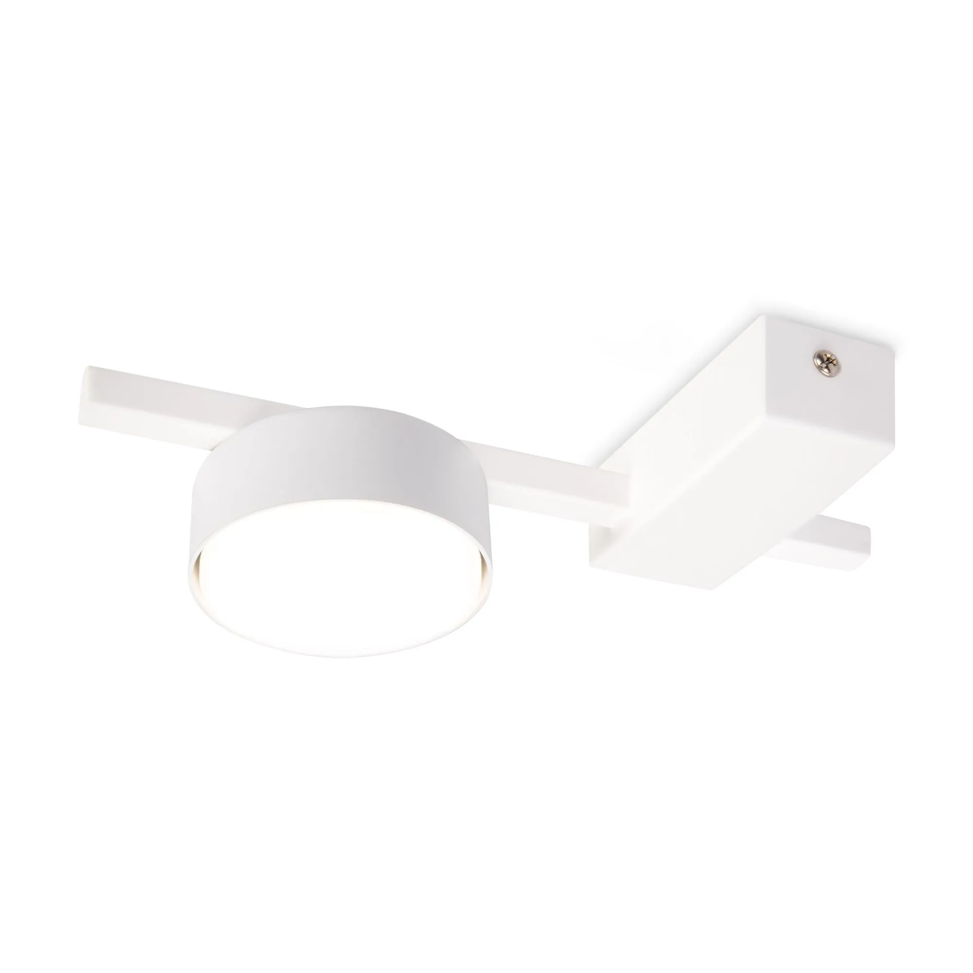 картинка Потолочный светильник Freya FR5363CL-01W