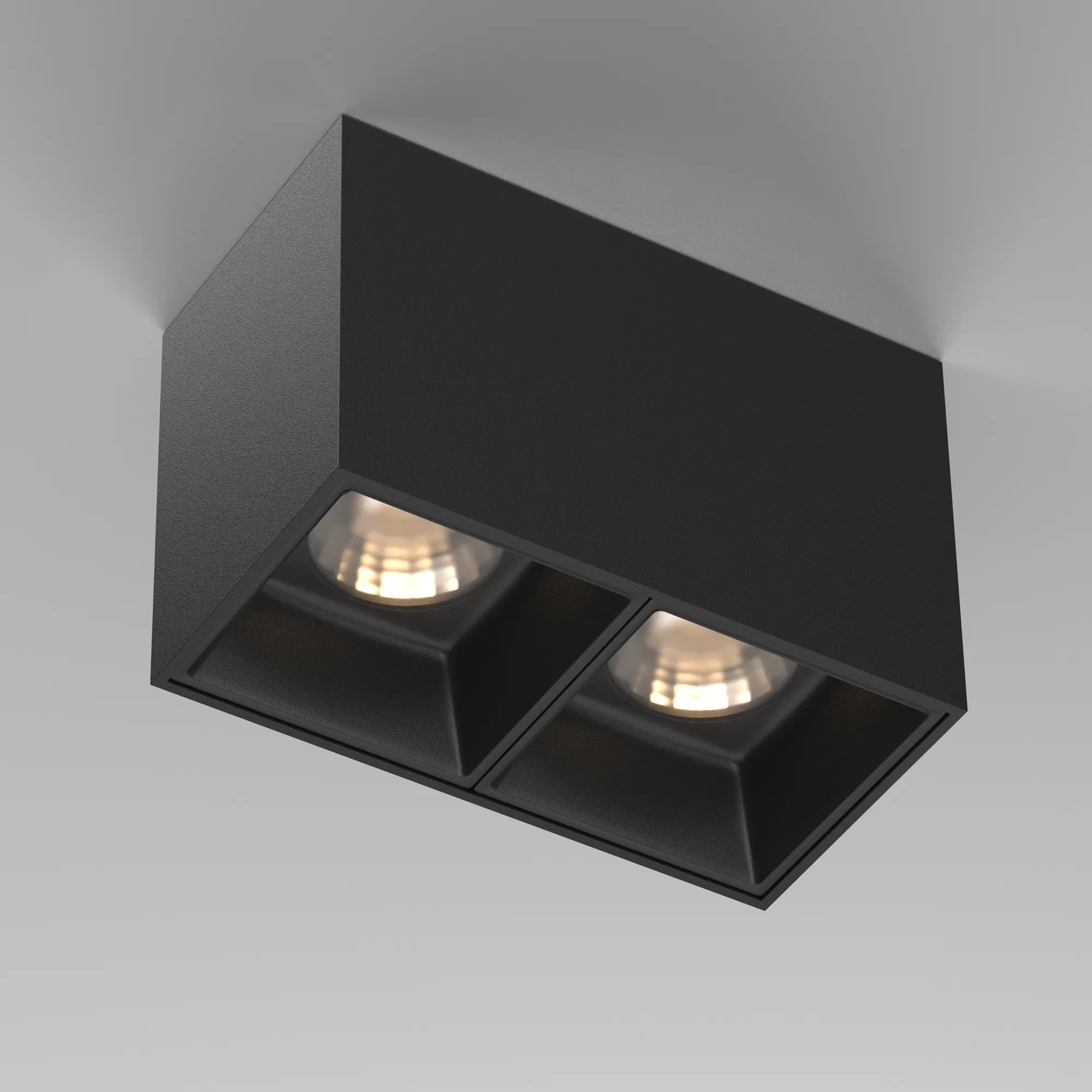 картинка Потолочный светильник Technical C065CL-02-L12W3K-B