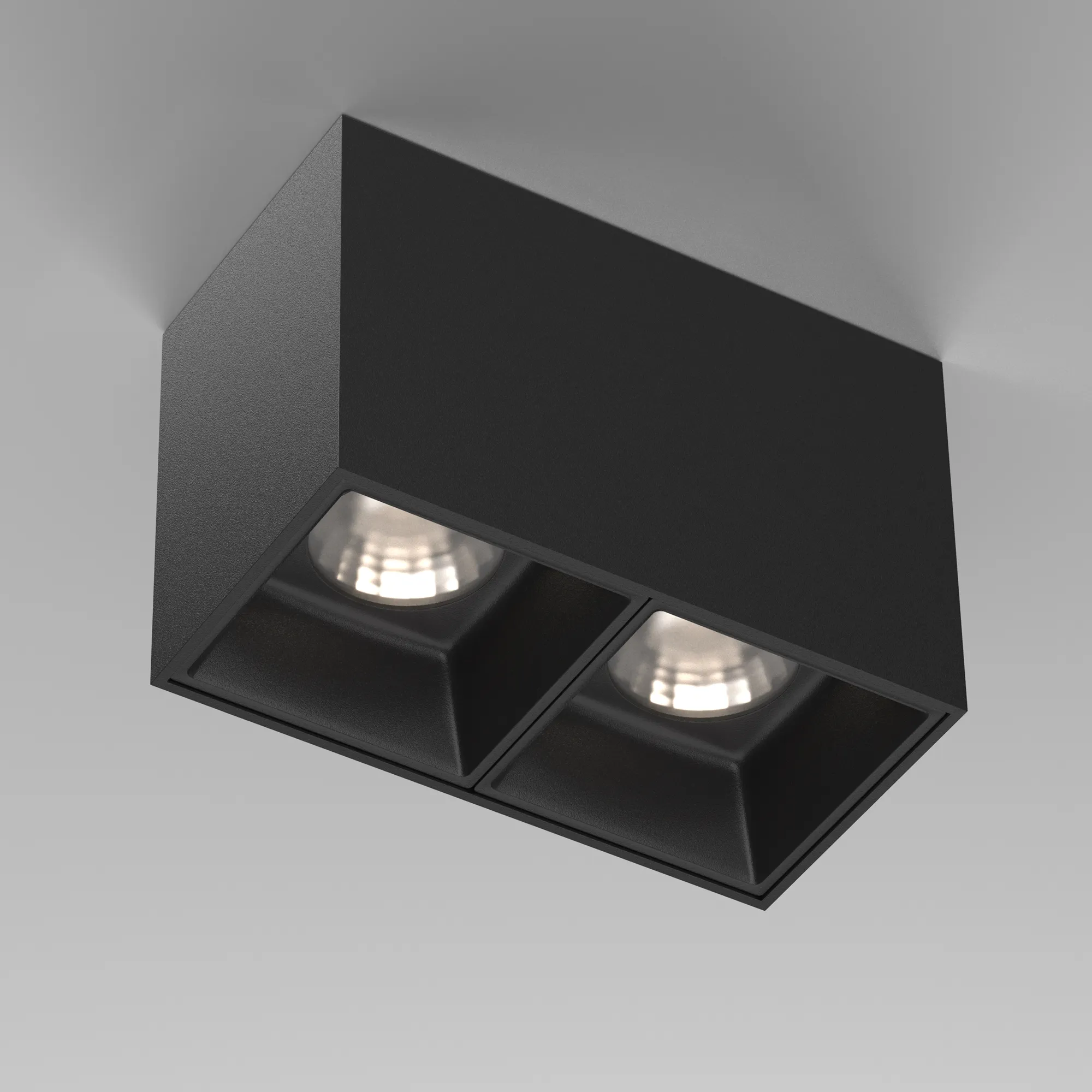 картинка Потолочный светильник Technical C065CL-02-L12W4K-B