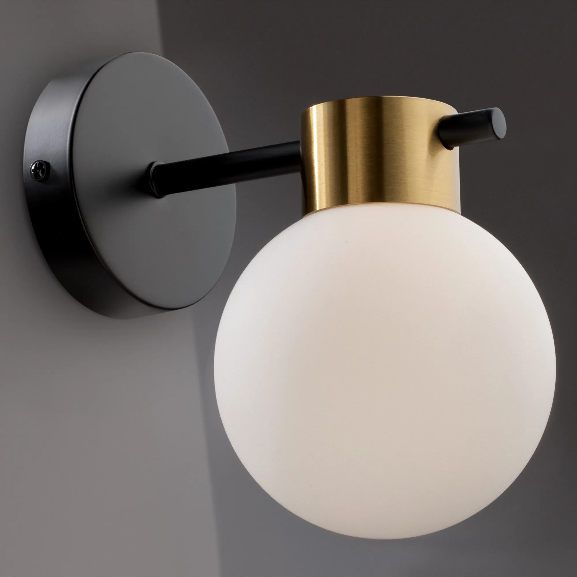 картинка Настенный светильник (бра) Freya FR5233WL-01BS