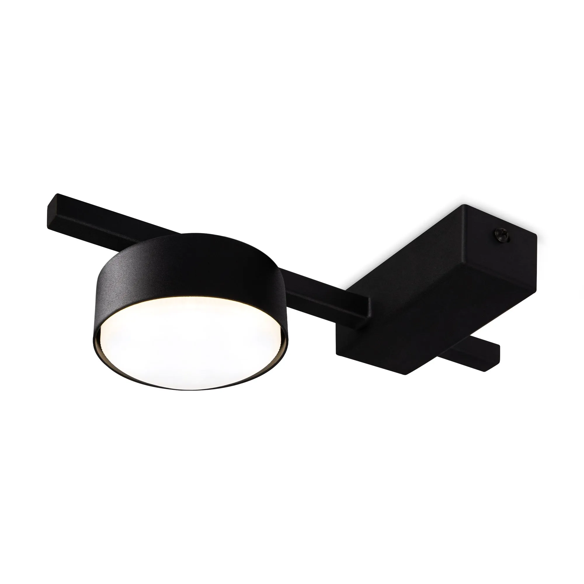 картинка Потолочный светильник Freya FR5363CL-01B