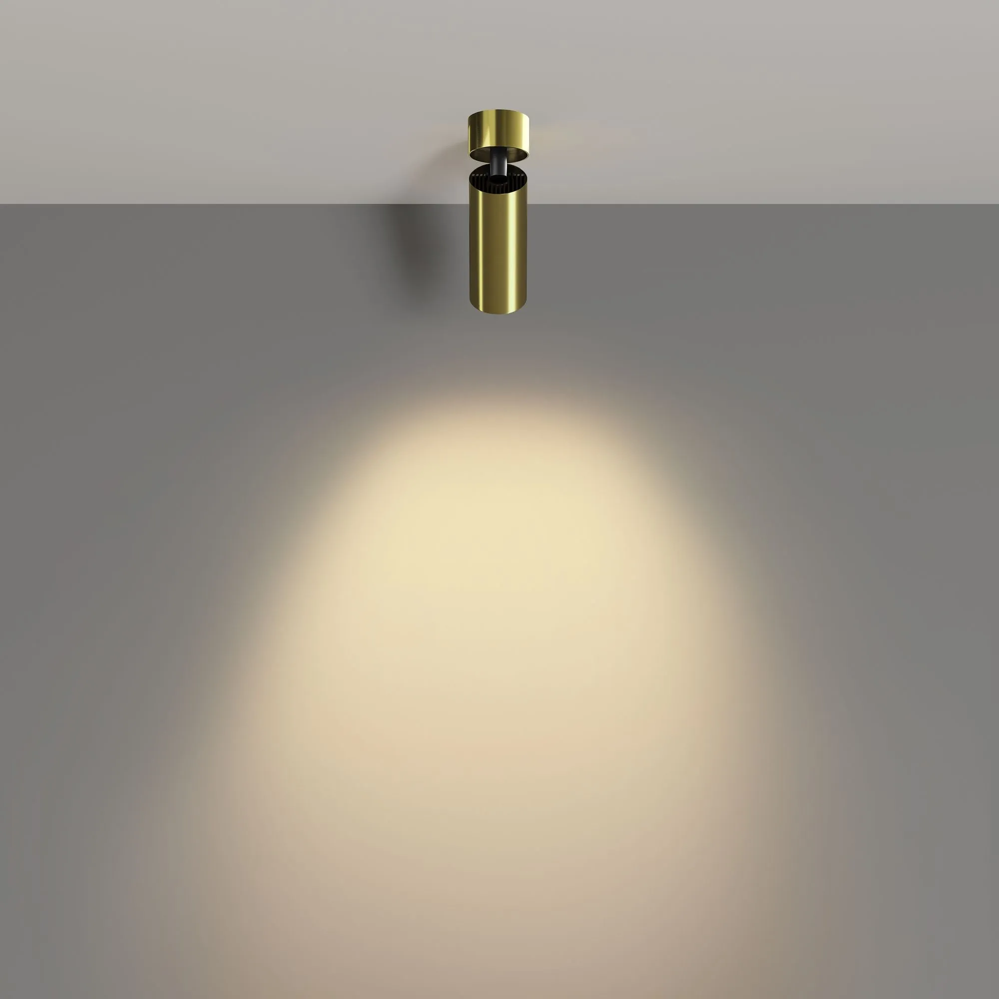 картинка Потолочный светильник Technical C055CL-L12W2.7K-W-BS