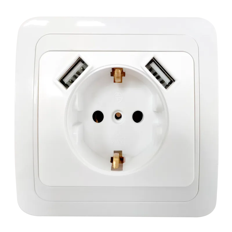 картинка Розетка одинарная с заземлением CLASSICO с двумя USB белая 2047 IN HOME