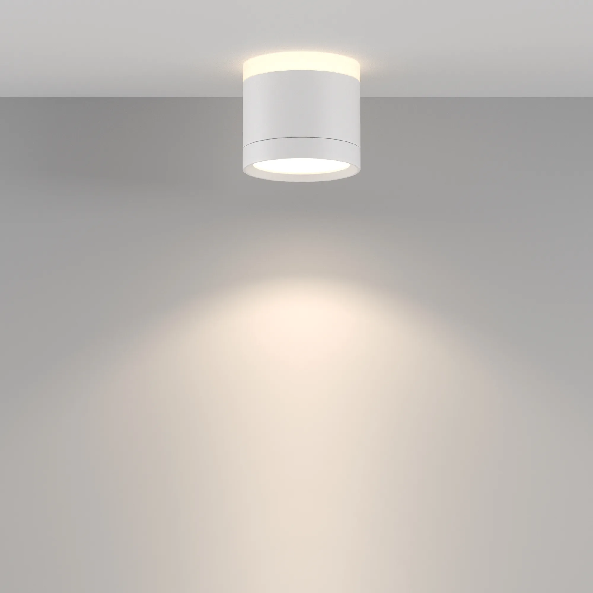картинка Потолочный светильник Technical C120CL-GX53-W