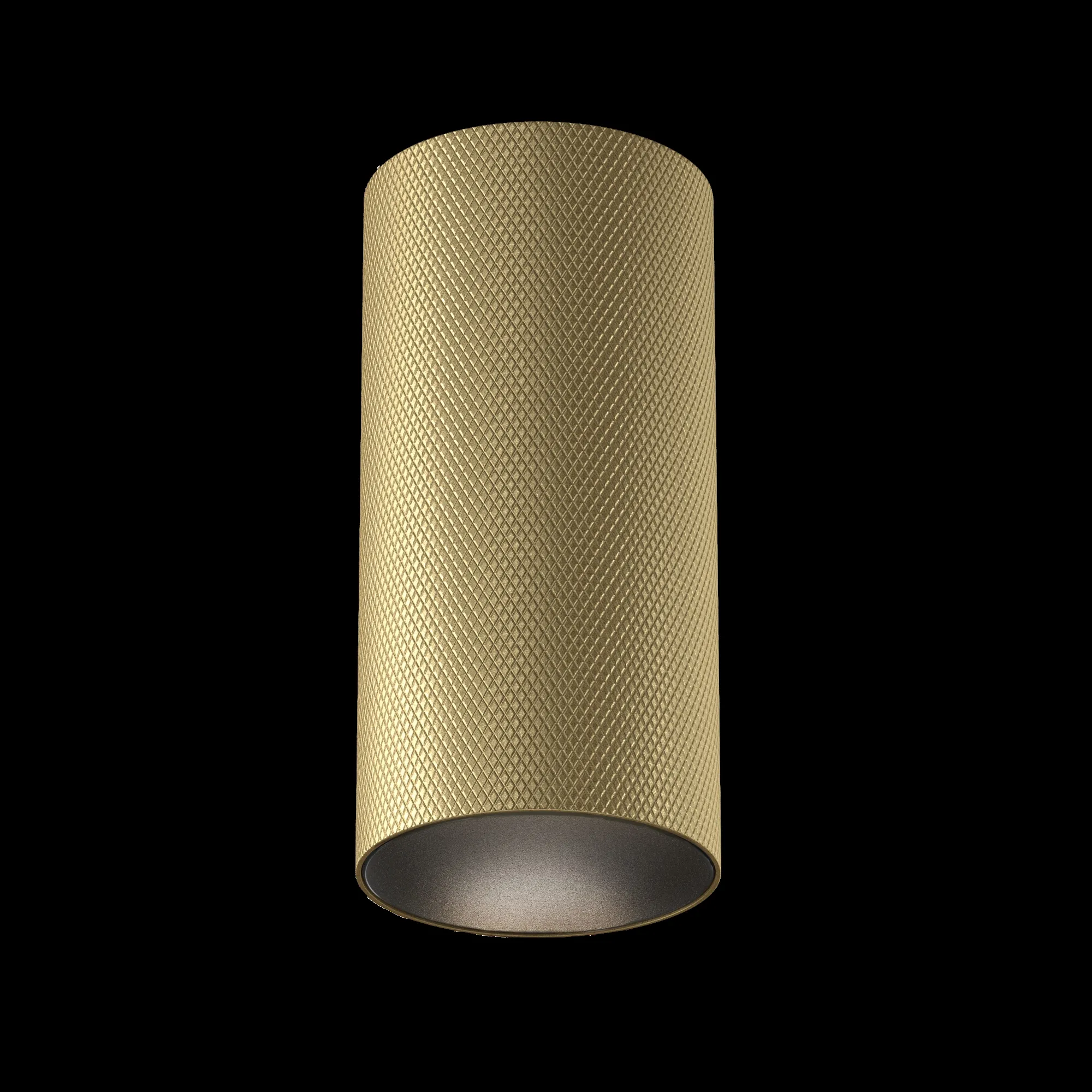 картинка Потолочный светильник Technical C080CL-01-GU10-MG