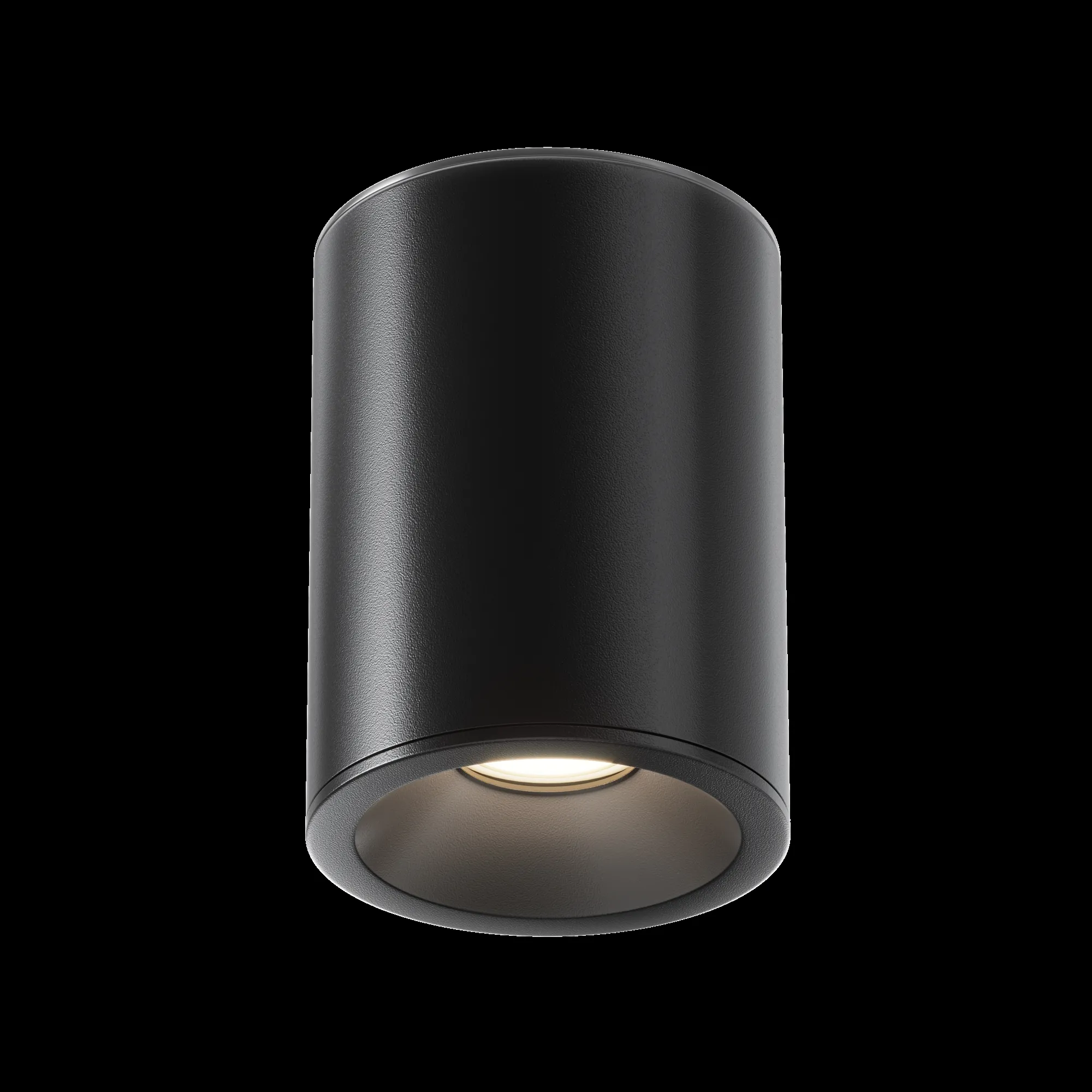 картинка Потолочный светильник Technical C029CL-01B