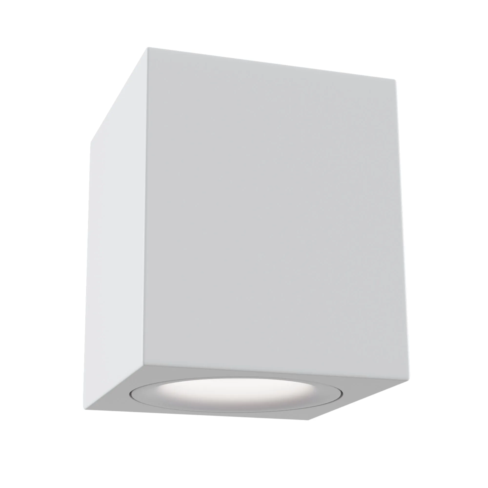 картинка Потолочный светильник Technical C013CL-01W
