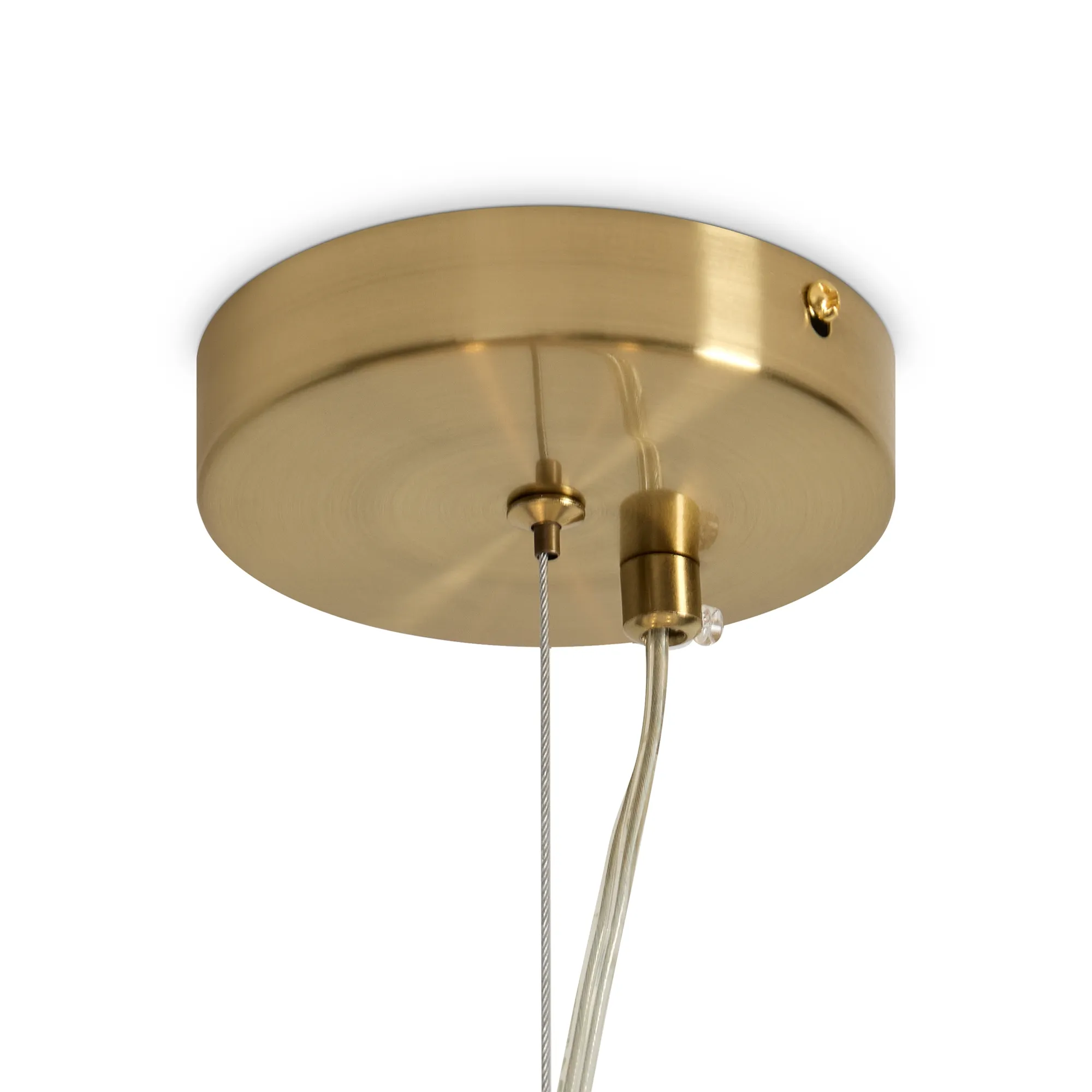 картинка Подвесной светильник Freya FR5581PL-03W