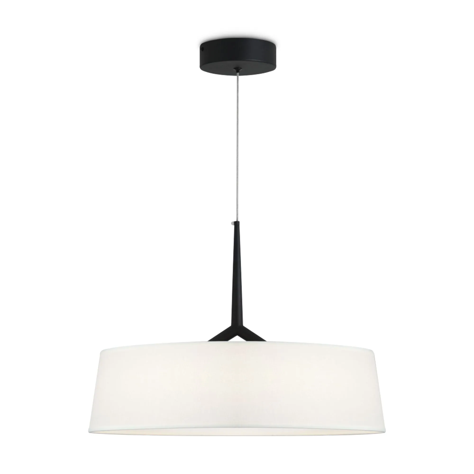 картинка Подвесной светильник Freya FR6132PL-L15B