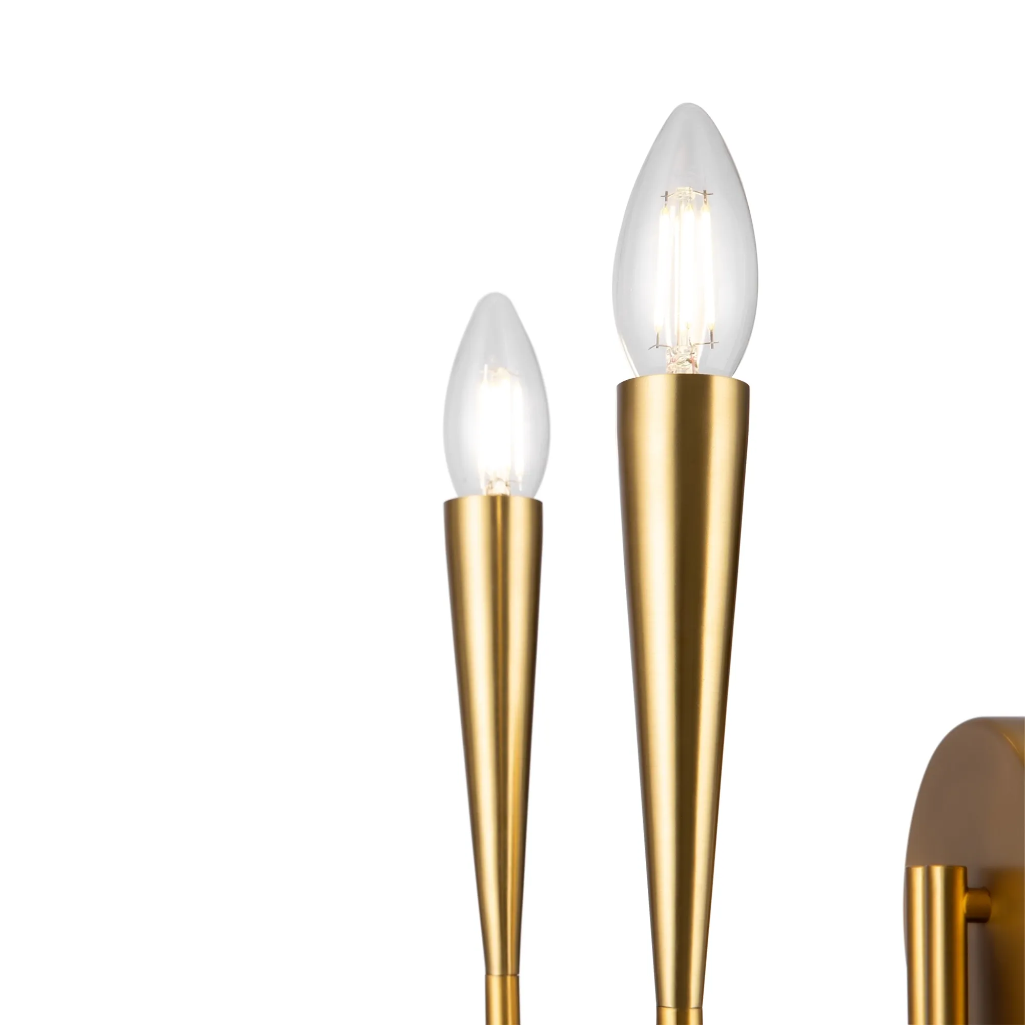 картинка Настенный светильник (бра) Freya FR5253WL-02BS