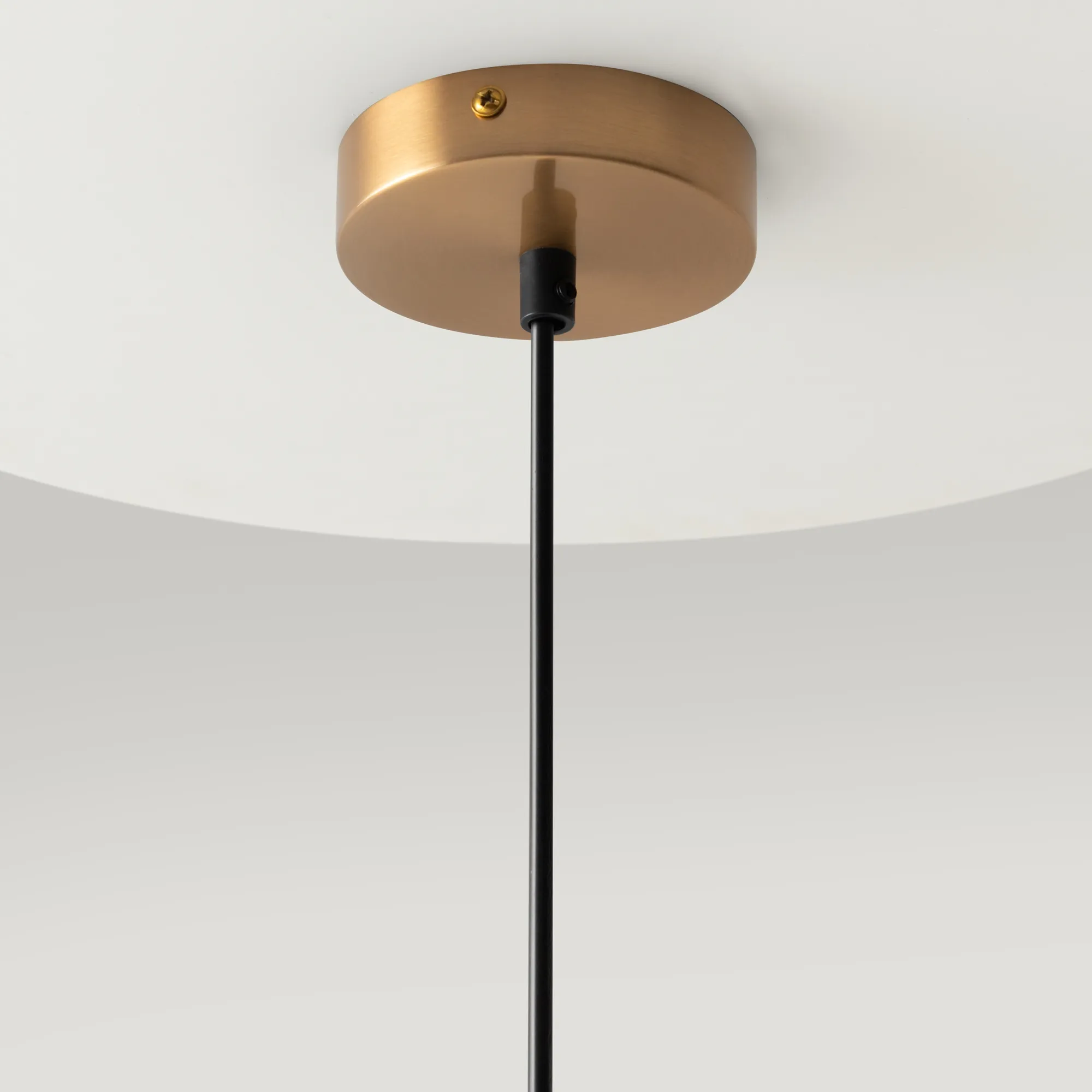 картинка Подвесной светильник Maytoni MOD013PL-02BS1