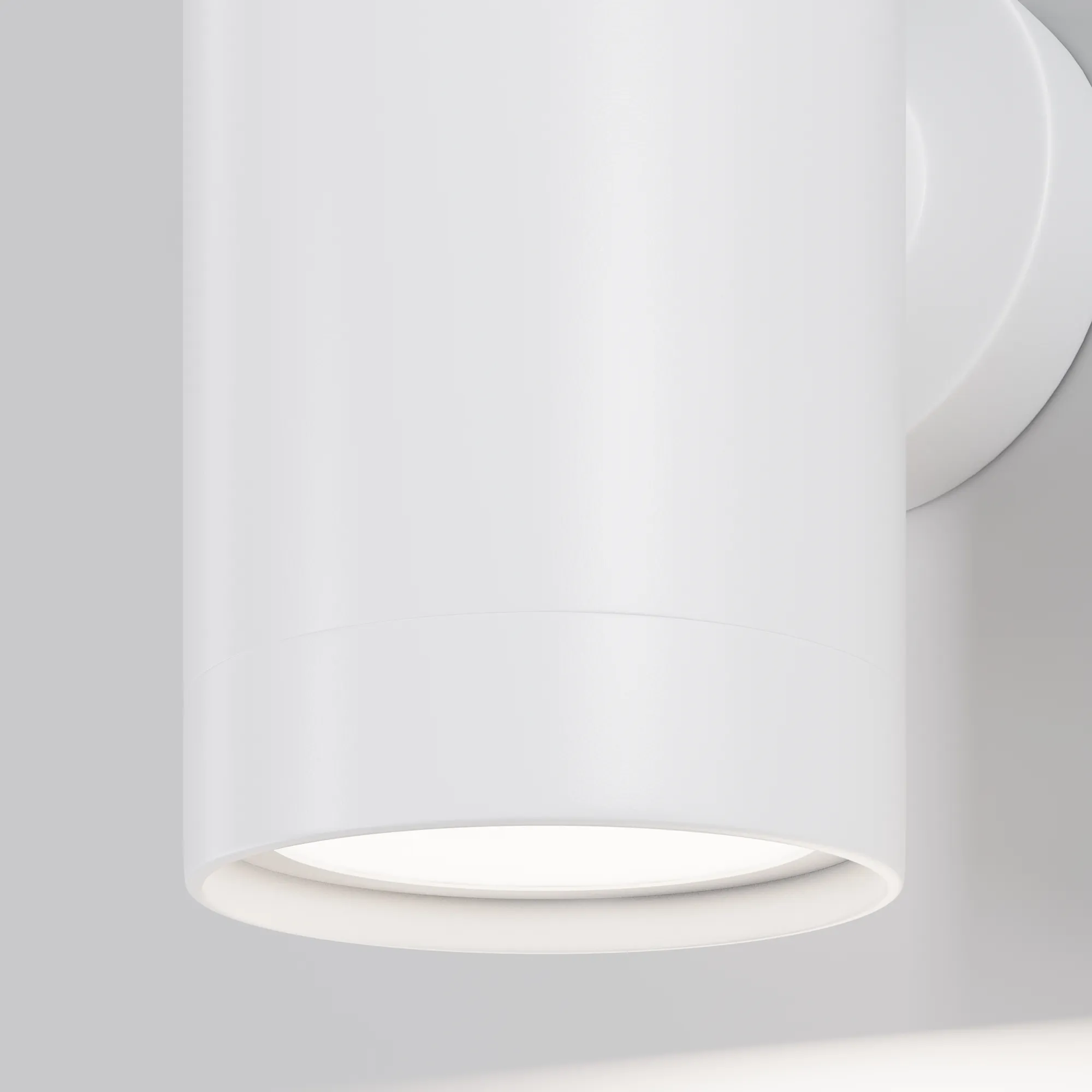 картинка Настенный светильник (бра) Outdoor O493WL-01W