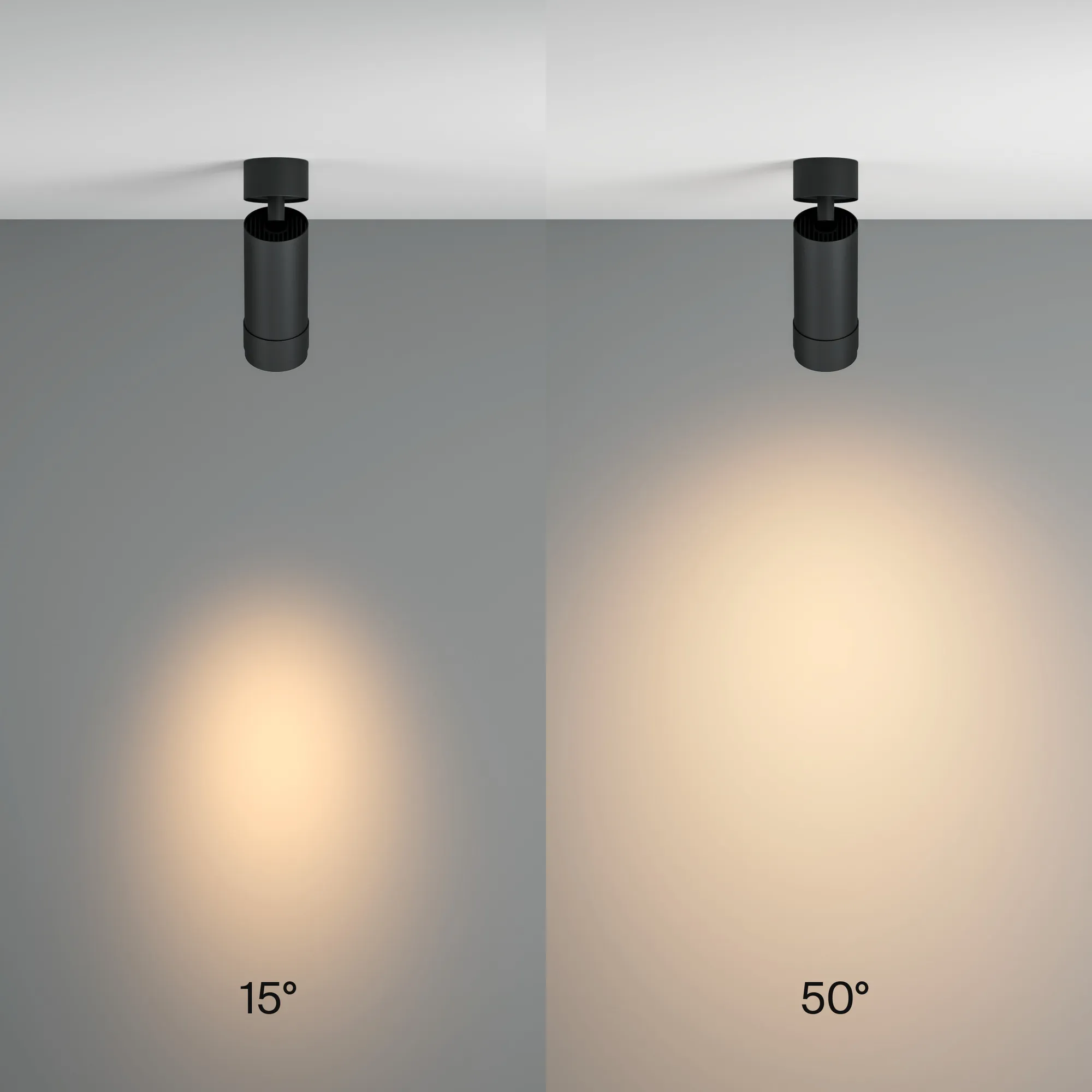 картинка Потолочный светильник Technical C055CL-L12W3K-Z-B