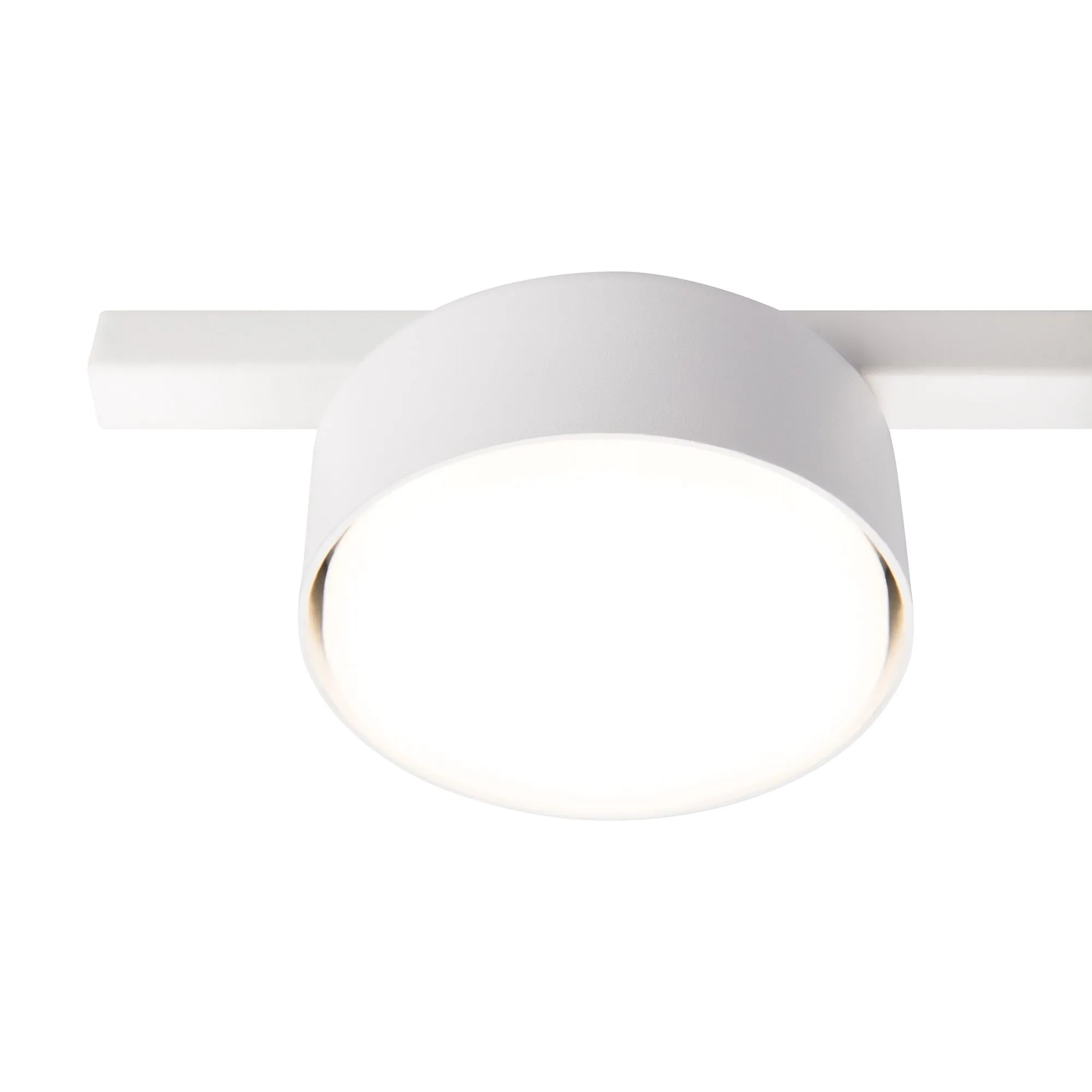 картинка Потолочный светильник Freya FR5363CL-01W