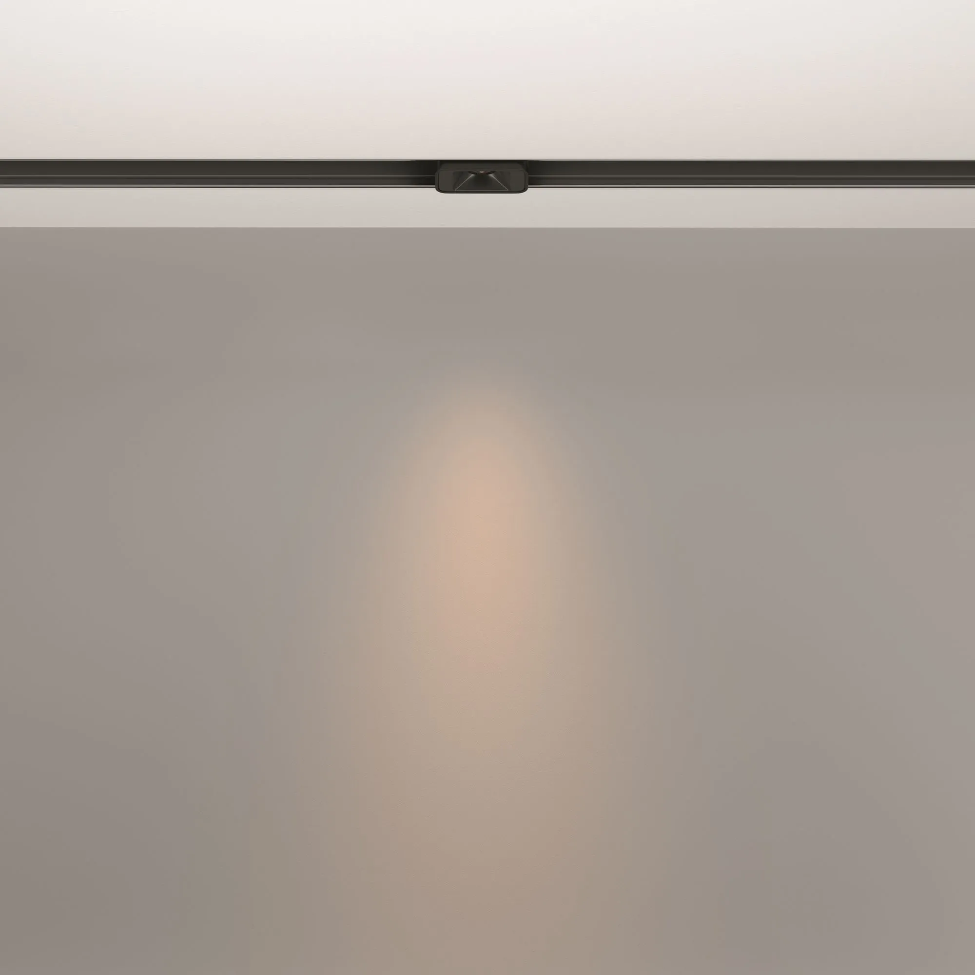 картинка Трековый светильник Technical TR100-2-2W3K-S-B