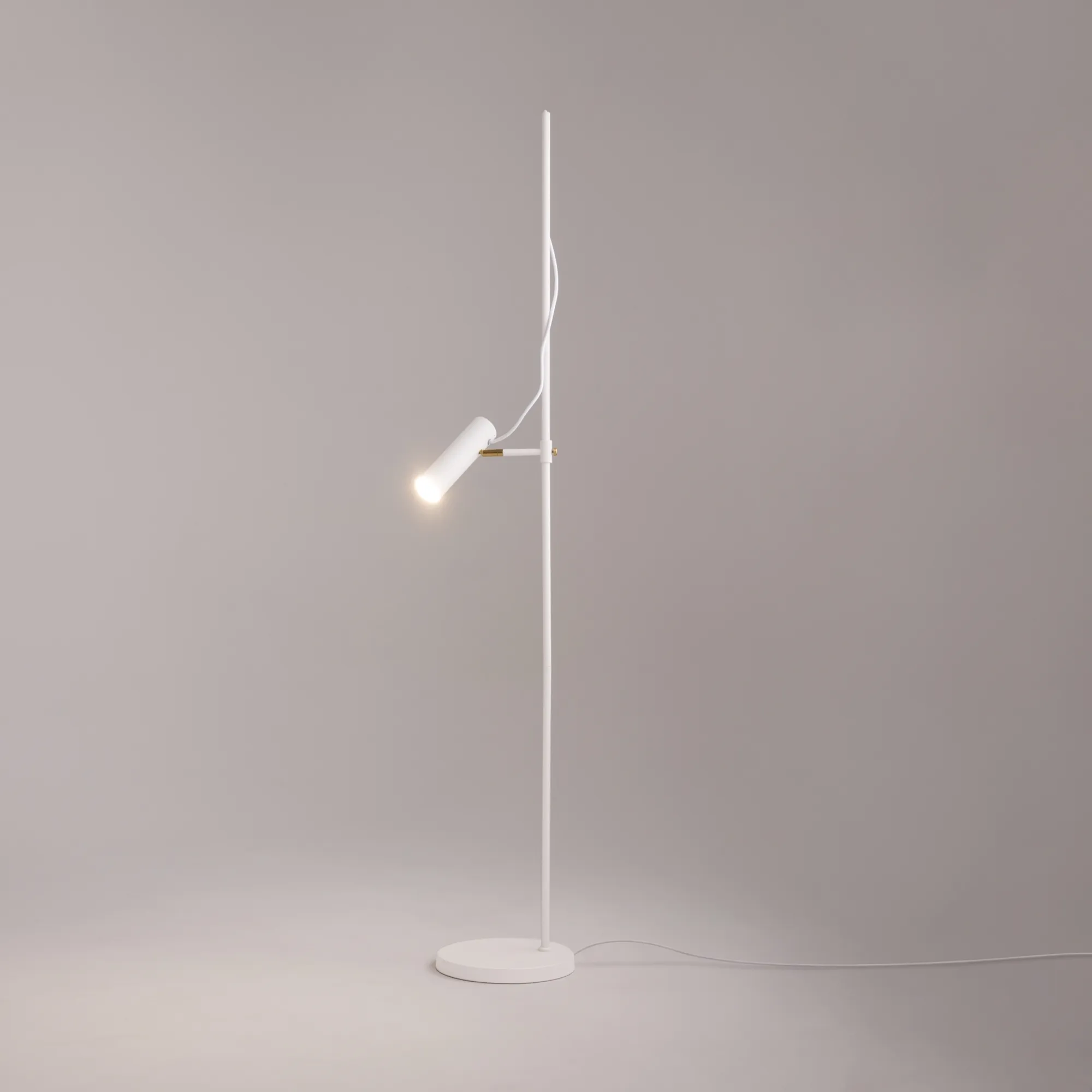 картинка Напольный светильник (торшер) Maytoni MOD129FL-01W