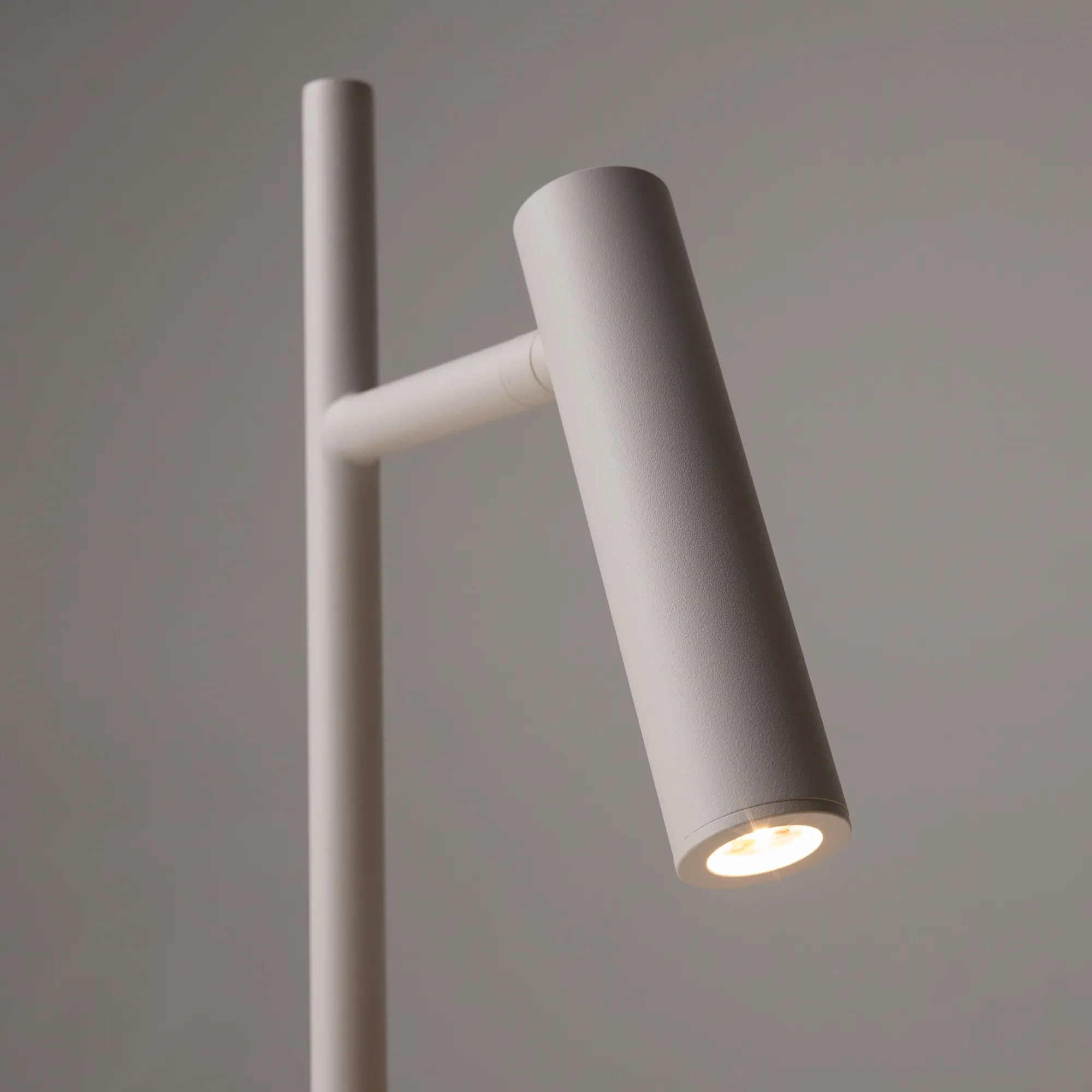 картинка Напольный светильник (торшер) Maytoni Z010FL-L8W3K