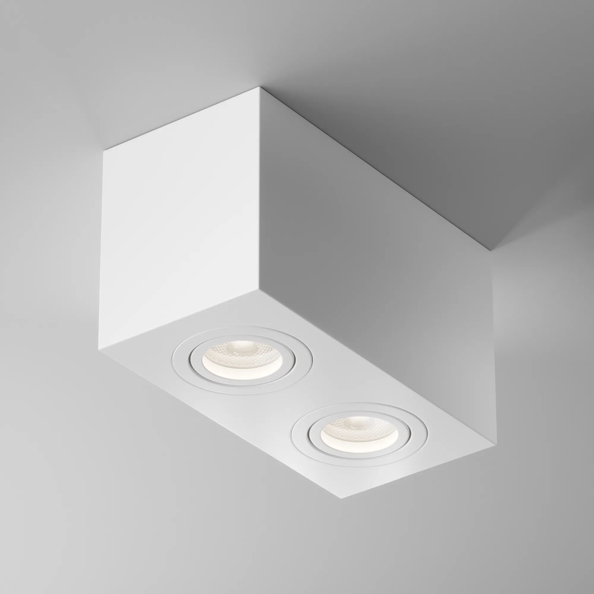 картинка Потолочный светильник Technical C017CL-02W
