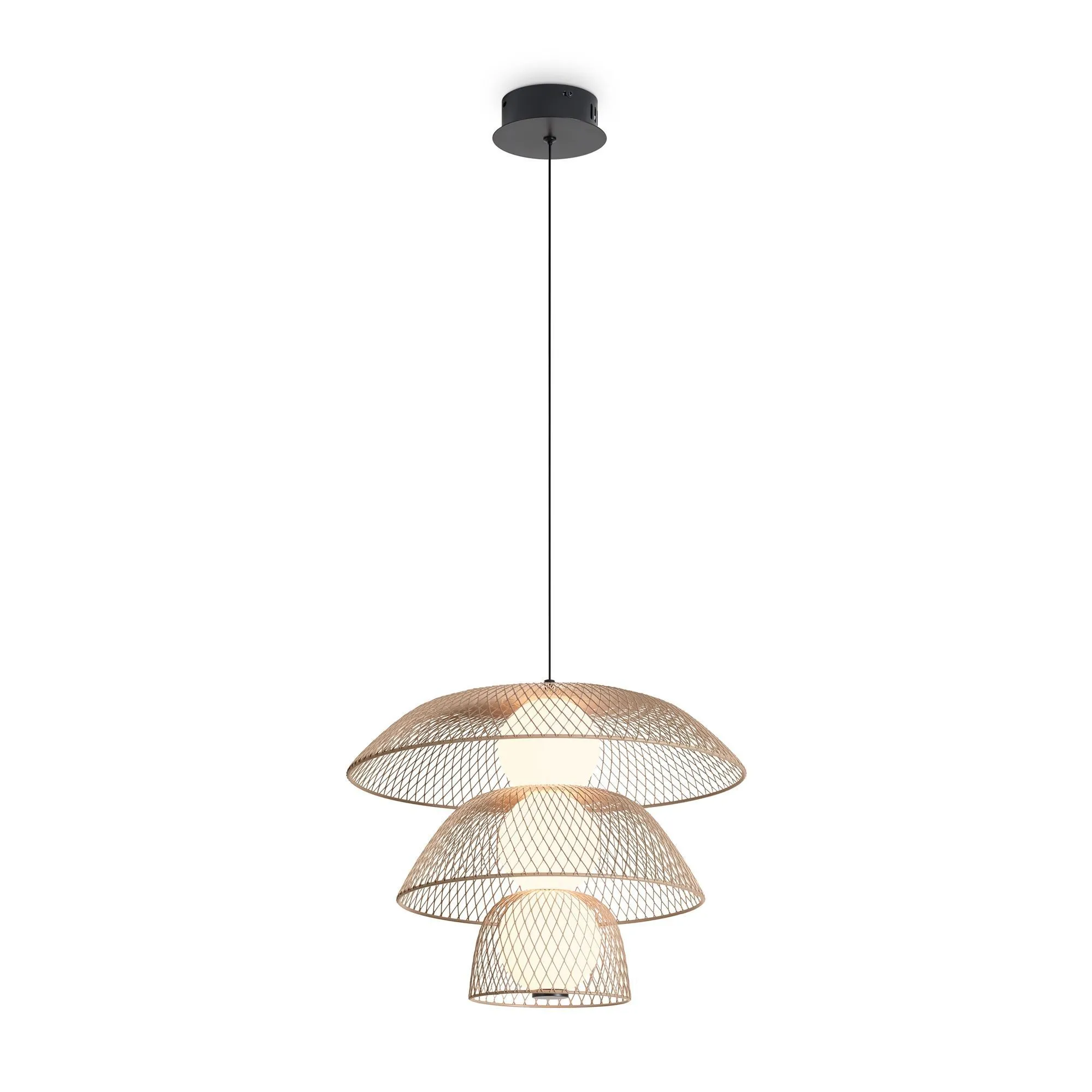картинка Подвесной светильник Freya FR5545PL-L5BG