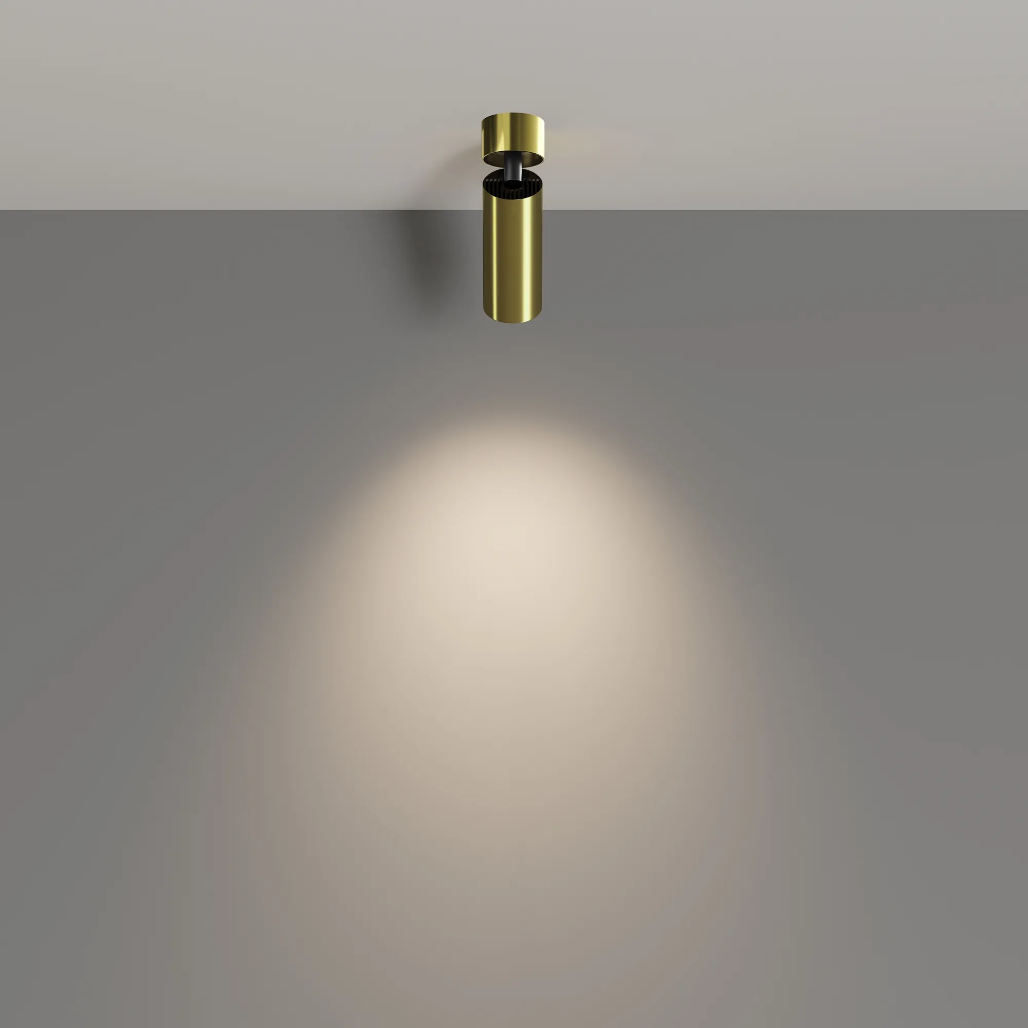 картинка Потолочный светильник Technical C055CL-L12W4K-W-BS
