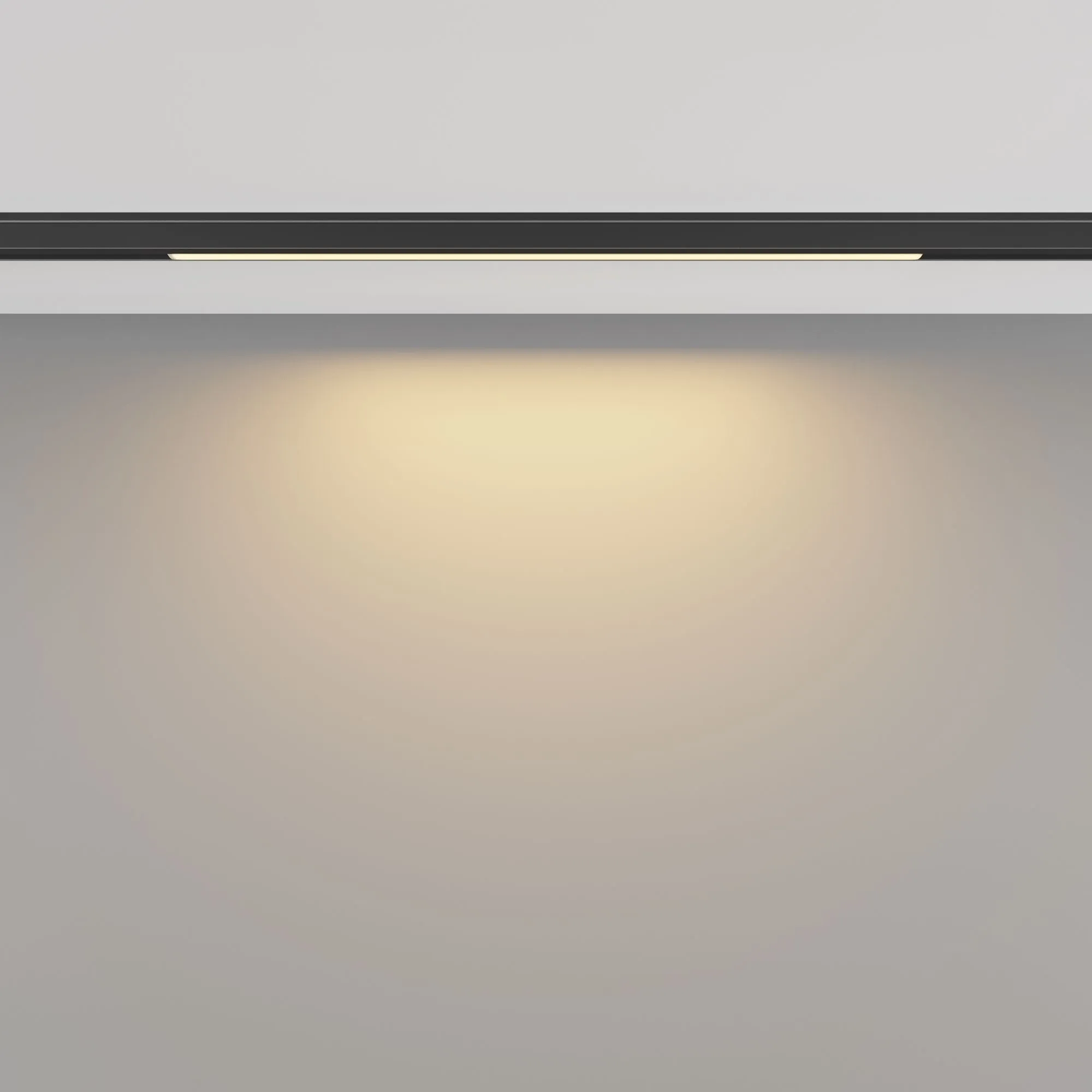 картинка Трековый светильник Technical TR190-1-5W2.7K-B