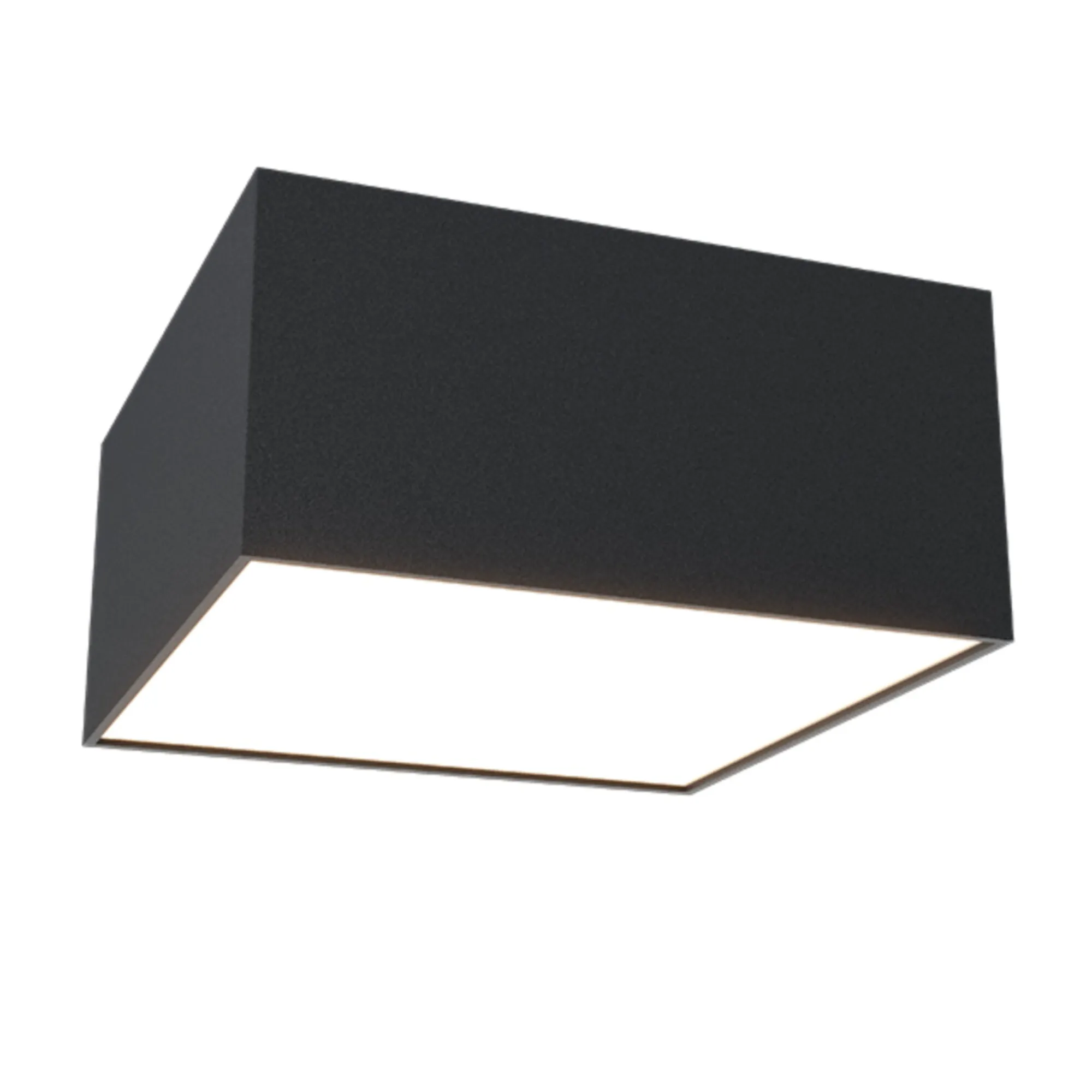 картинка Потолочный светильник Technical C067CL-L12B4K