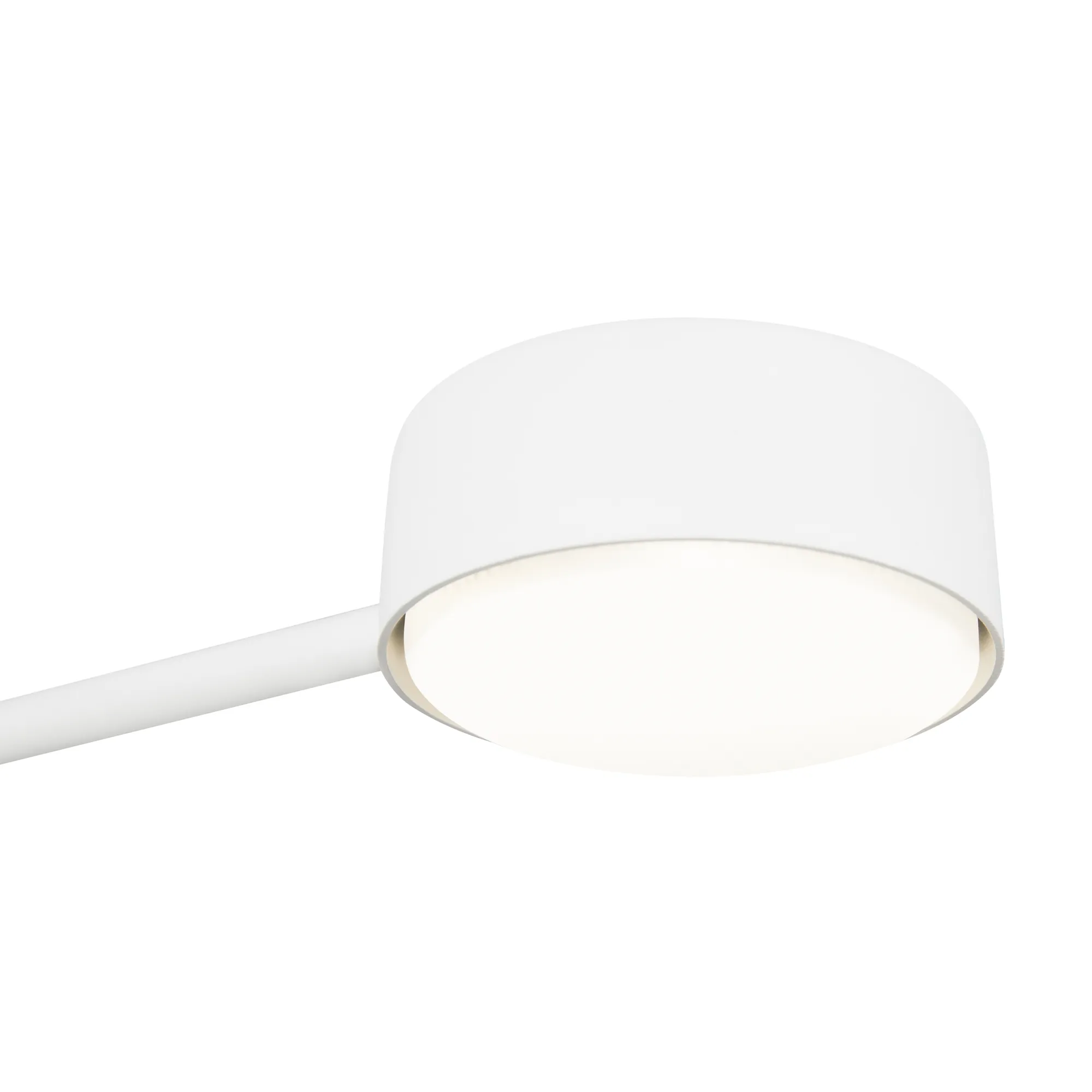 картинка Потолочный светильник Freya FR5363CL-02W1