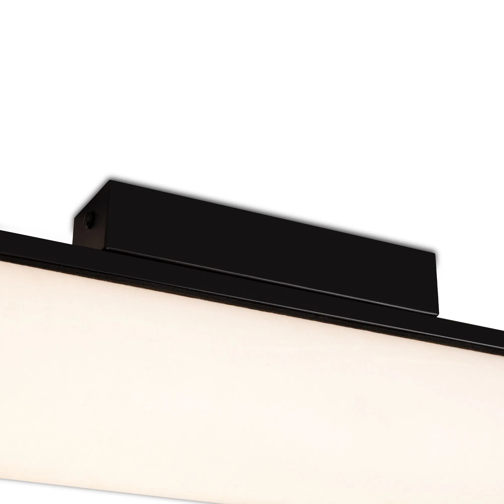 картинка Потолочный светильник Freya FR5625CL-L20B