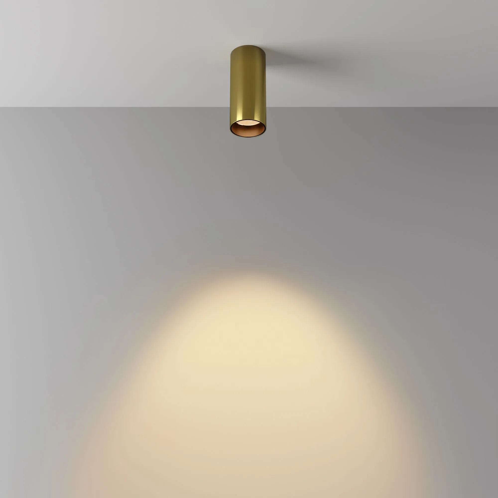 картинка Потолочный светильник Technical C056CL-L12W2.7K-W-BS