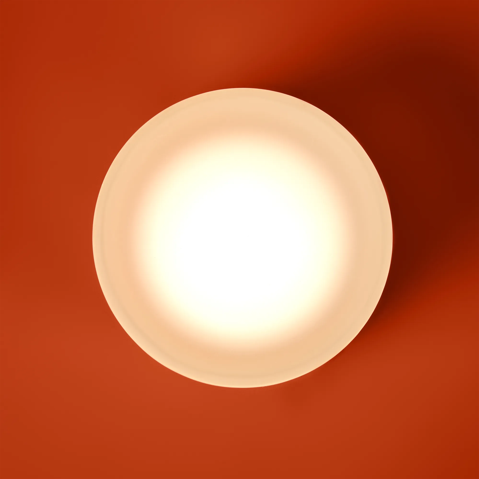 картинка Настенный светильник (бра) Freya FR5603WL-L8W