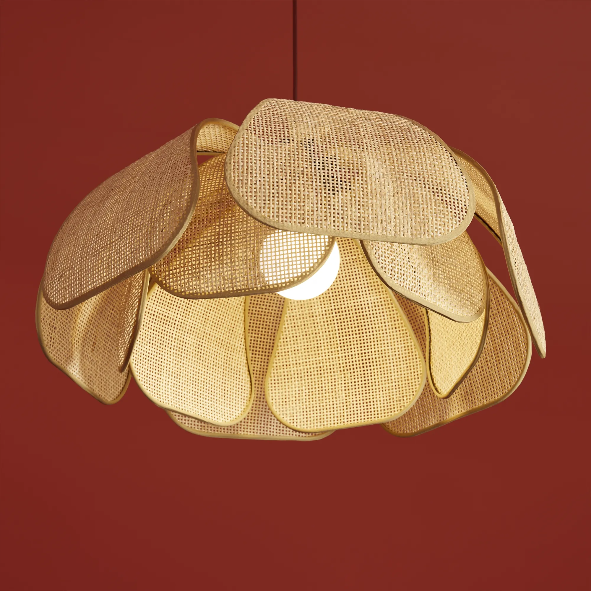 картинка Подвесной светильник Freya FR5529PL-01B