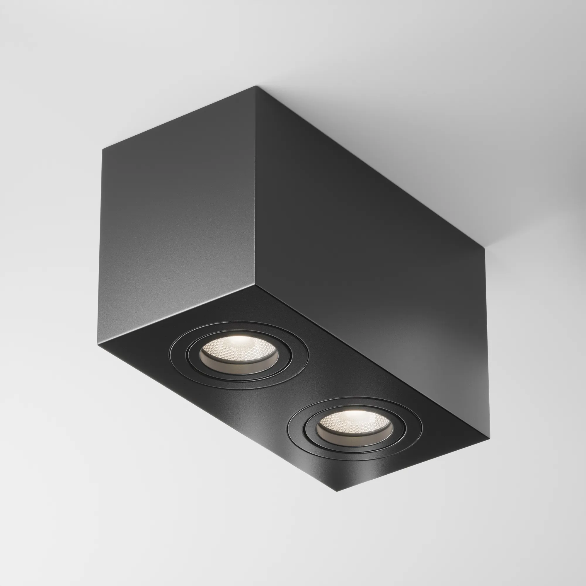 картинка Потолочный светильник Technical C017CL-02B
