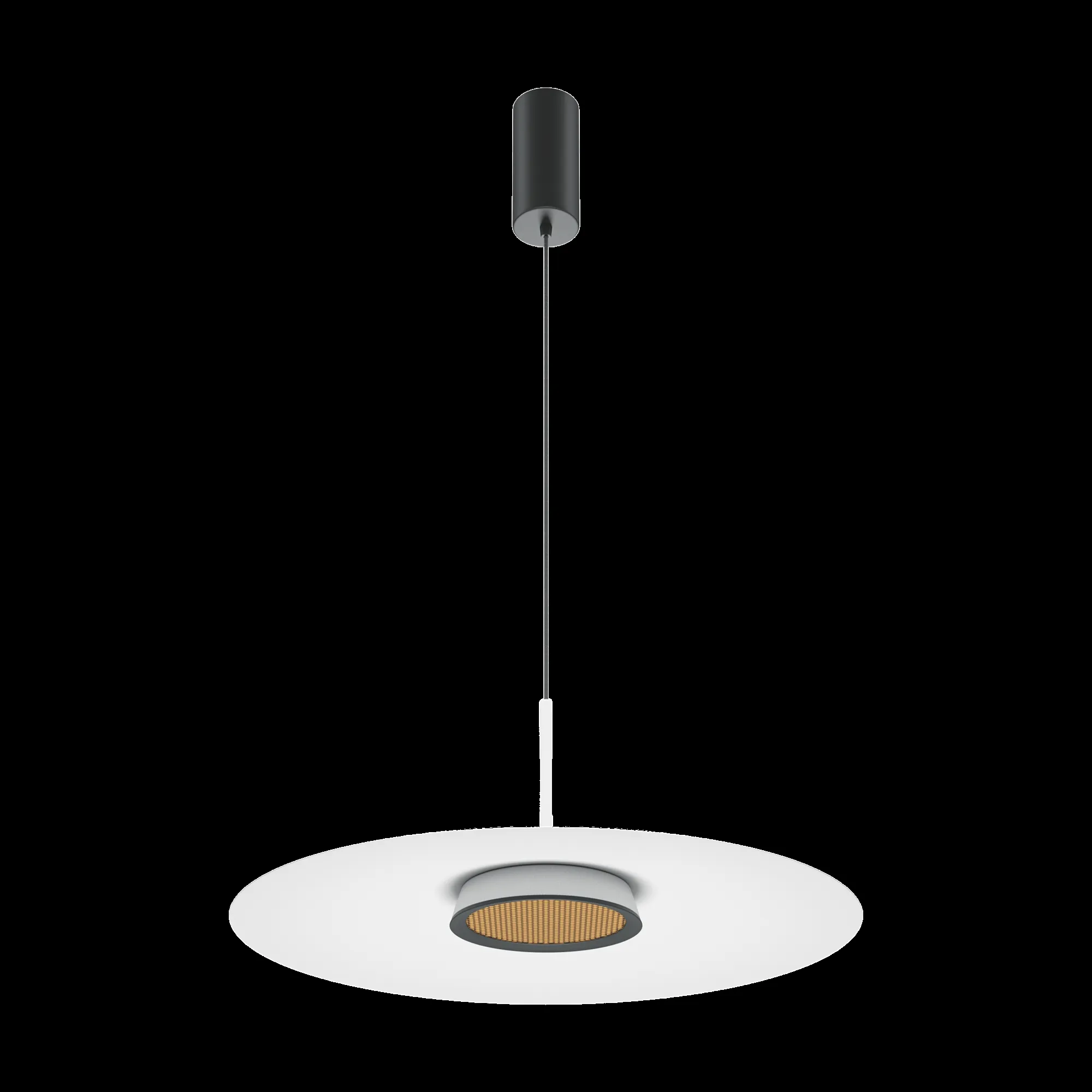 картинка Подвесной светильник Maytoni MOD041PL-L15W3K1