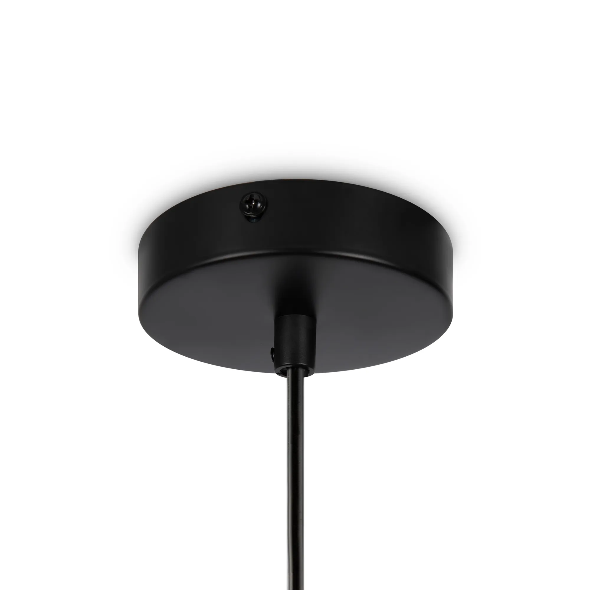 картинка Подвесной светильник Freya FR5133PL-01W