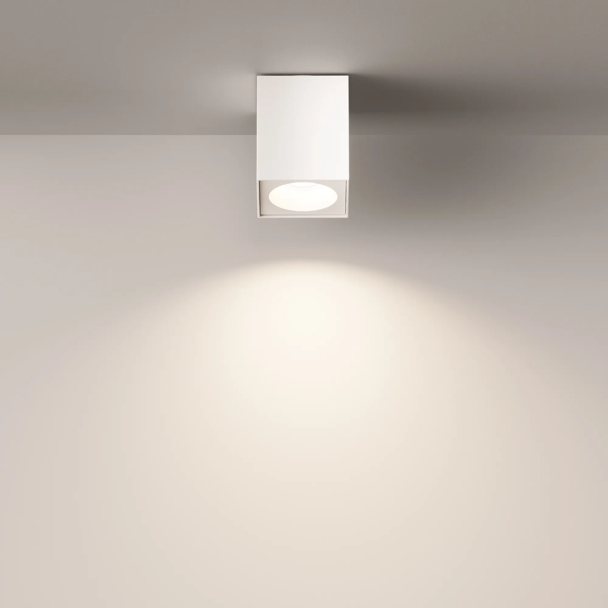 картинка Потолочный светильник Technical C030CL-01W